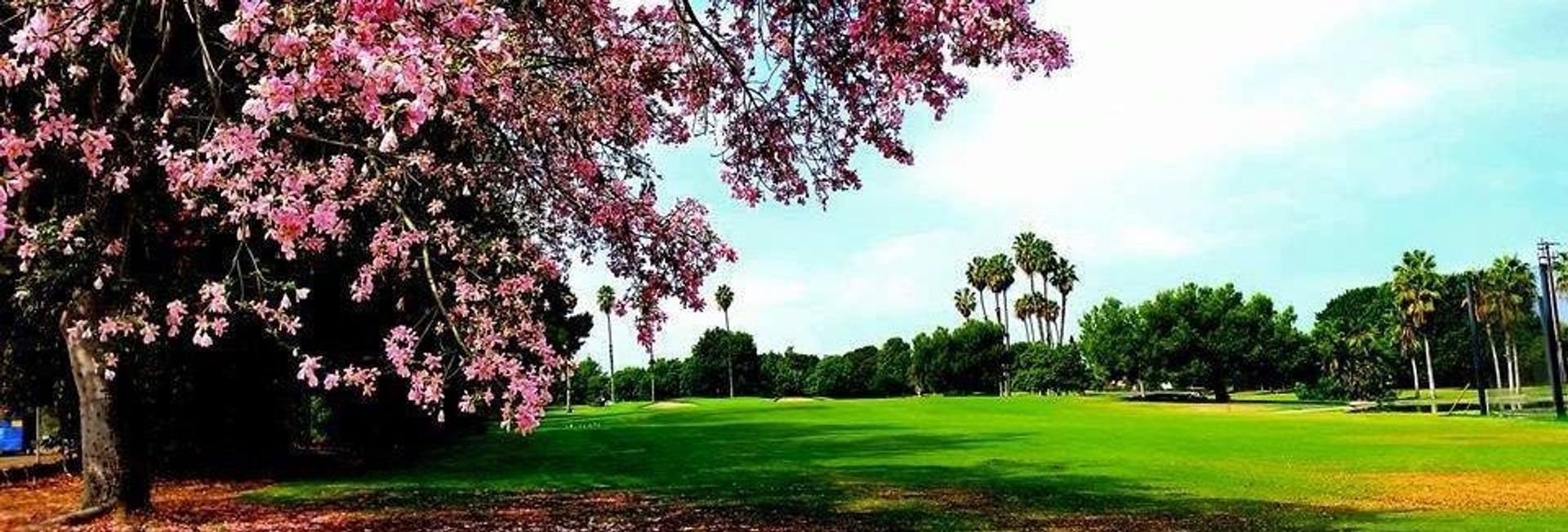 Dad Miller Golf Course