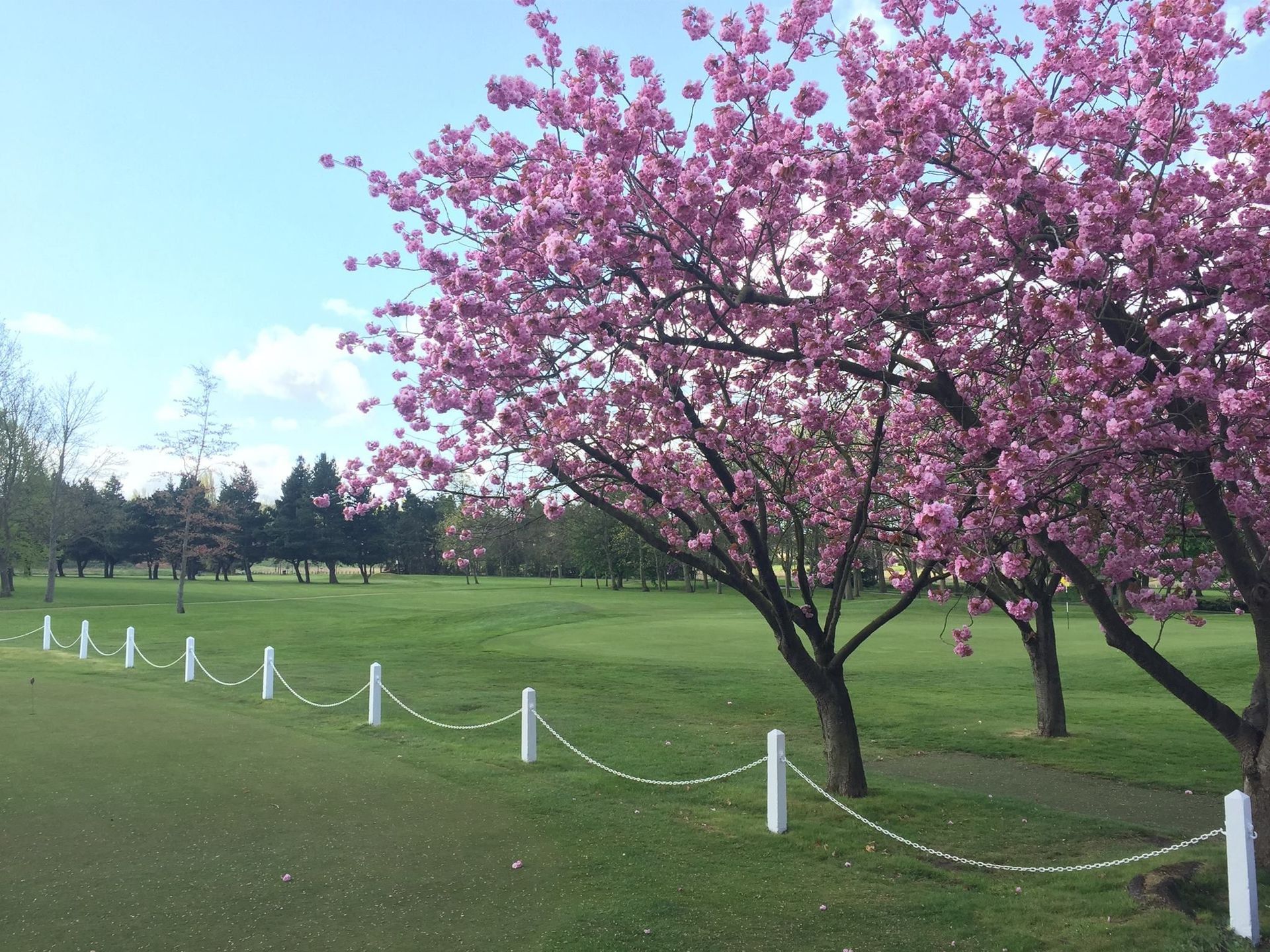 Lymm Golf Club