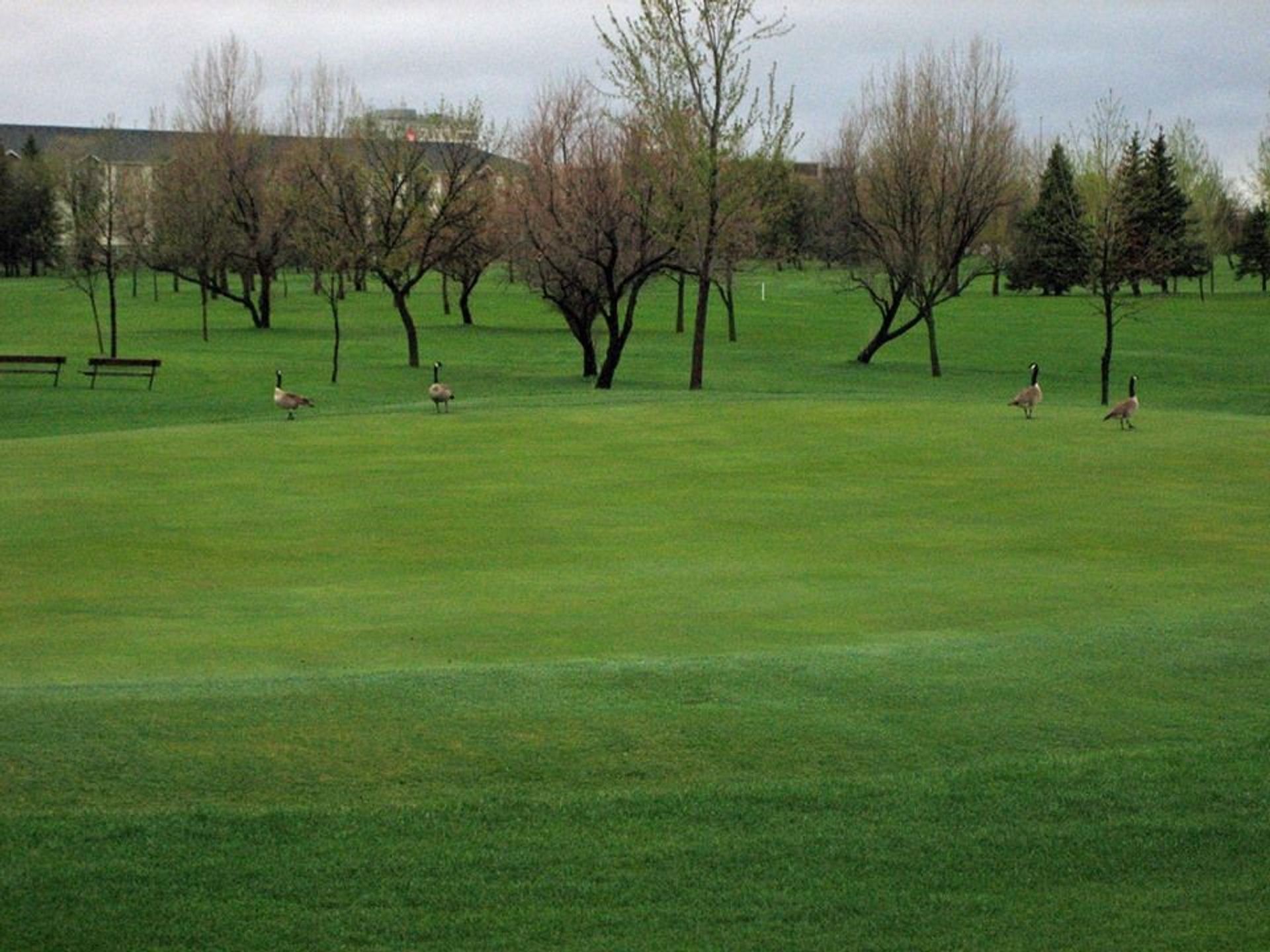 Ray Richards Golf Course