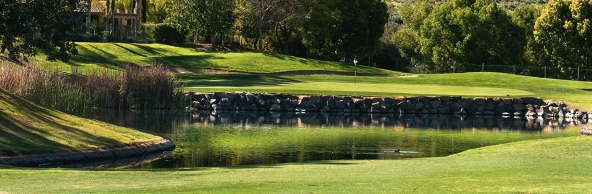 The Vineyard at Escondido