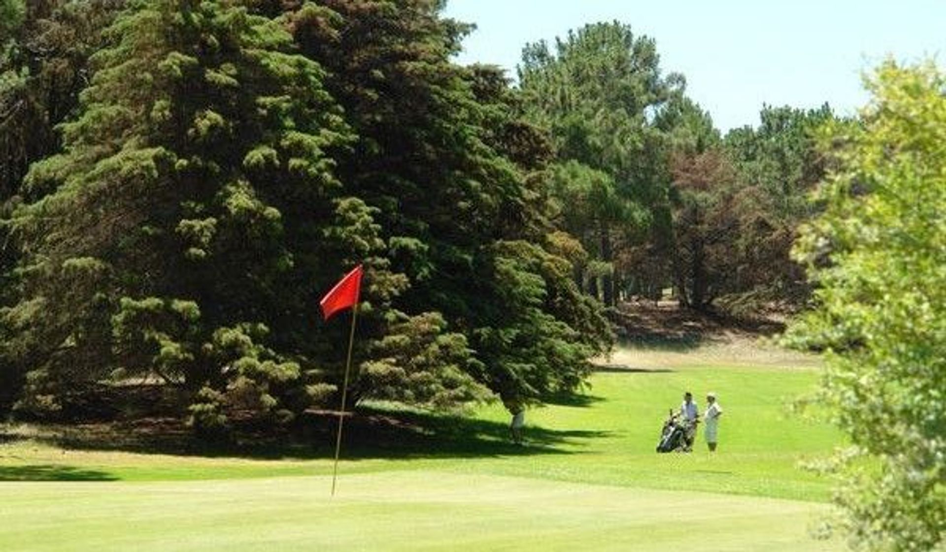 Parque Carilo Golf