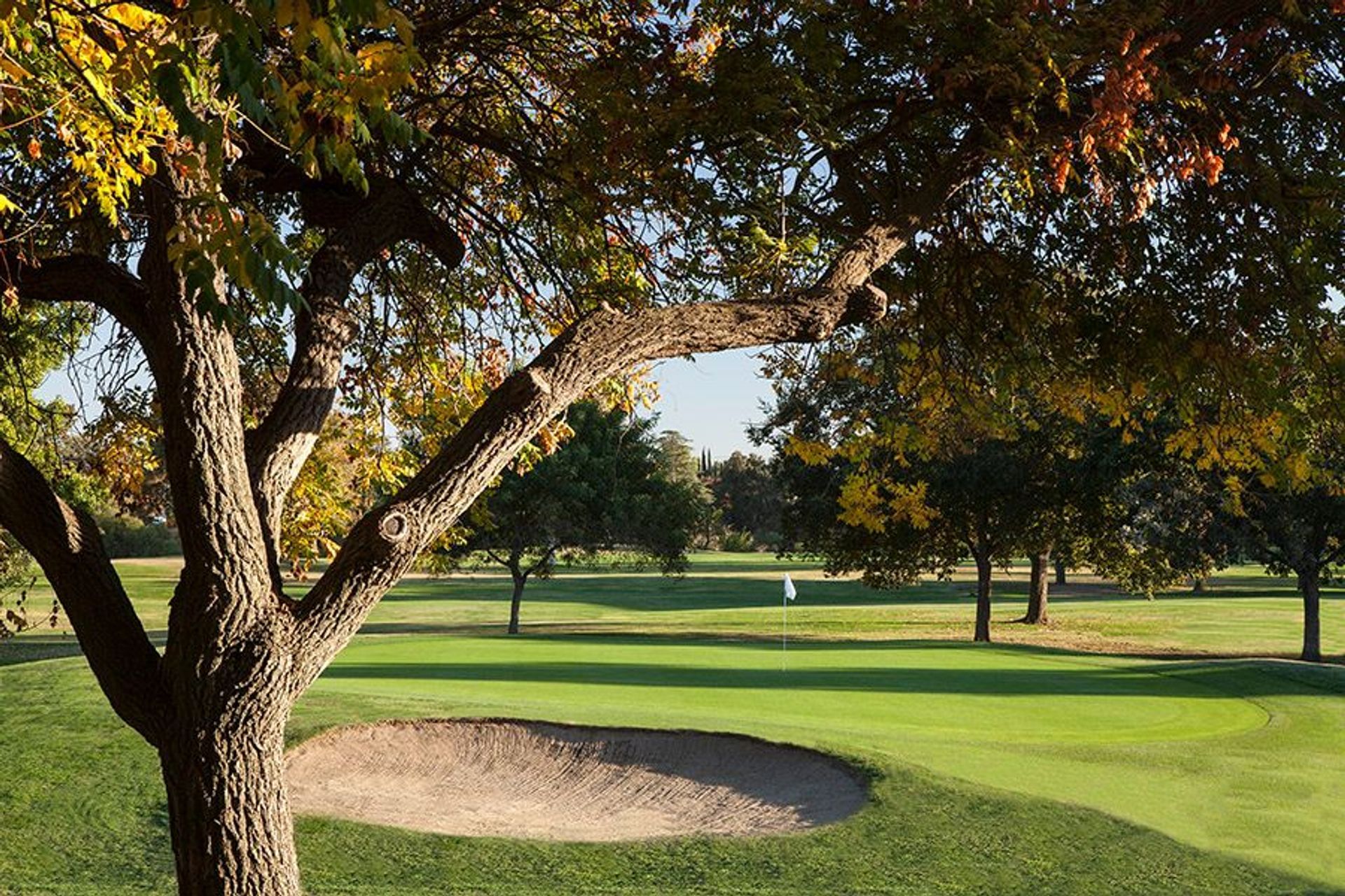 Dryden Park Golf Course