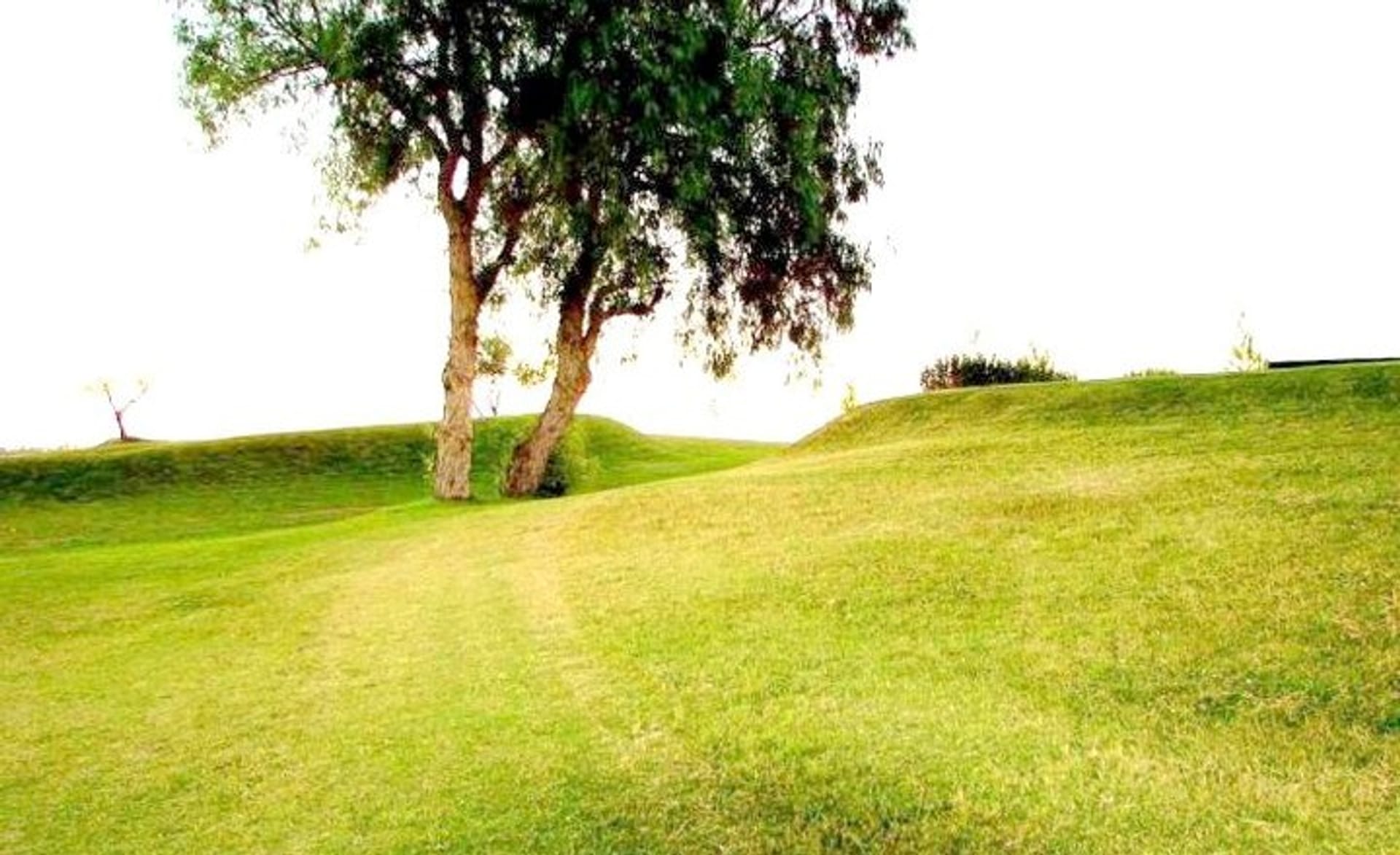 Nevado Golf Club