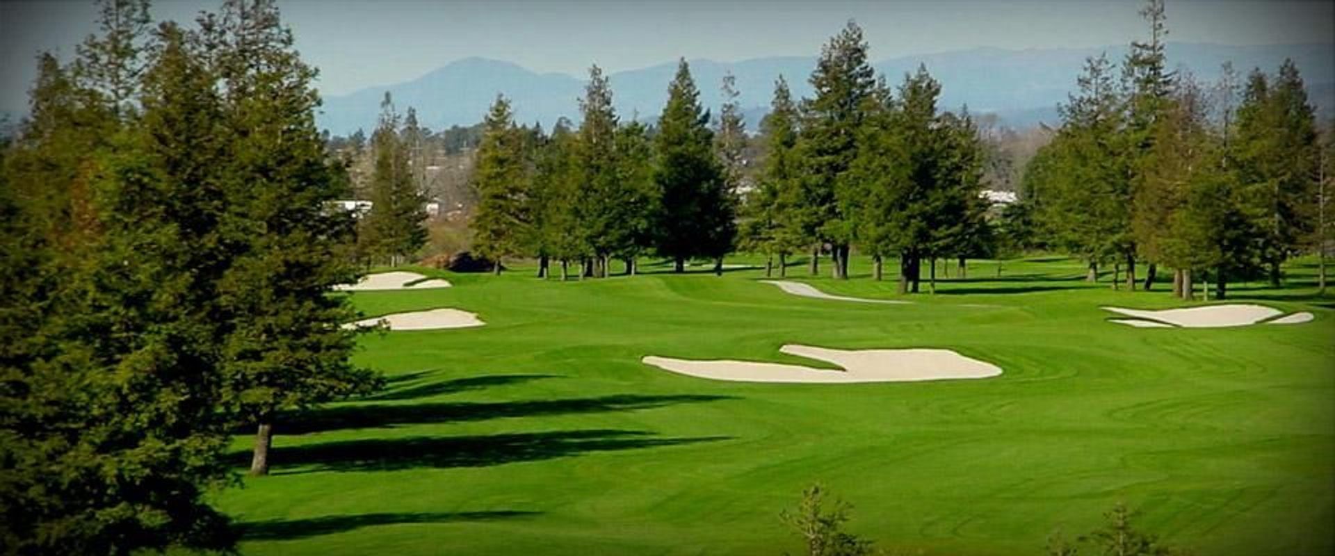Foxtail Golf Club (North)