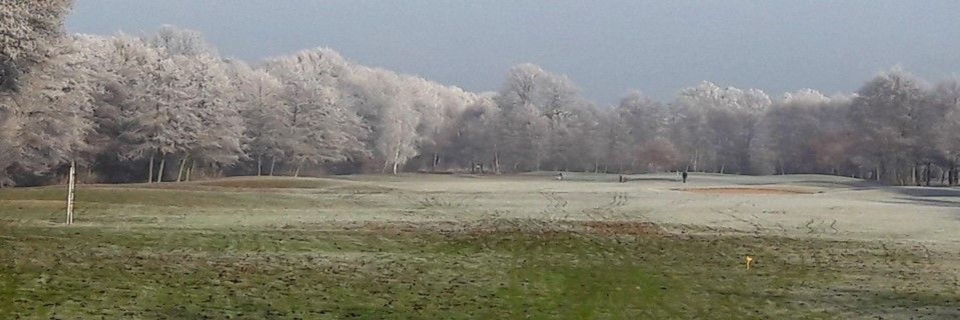 Golfclub Varus