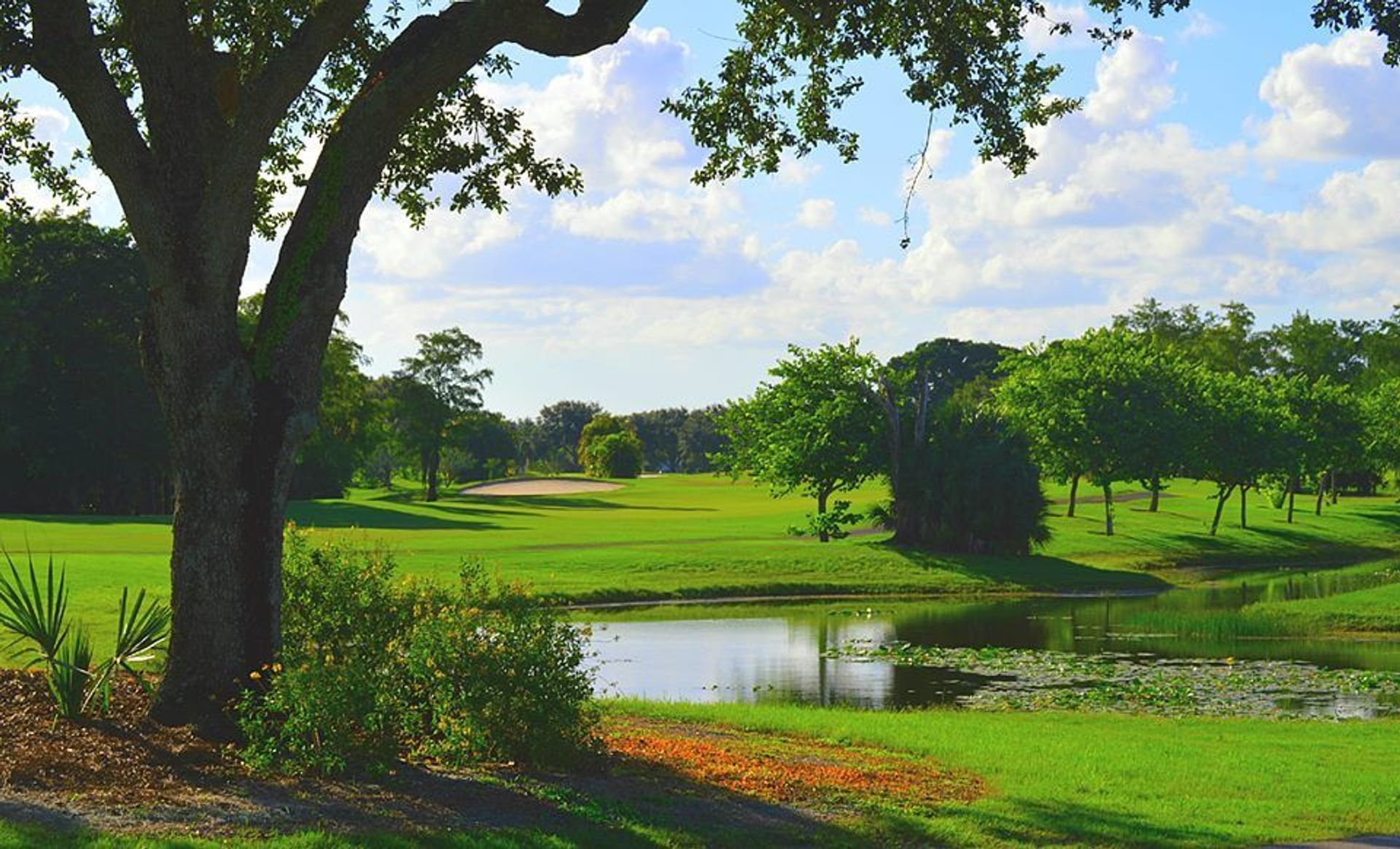 Village Golf Course