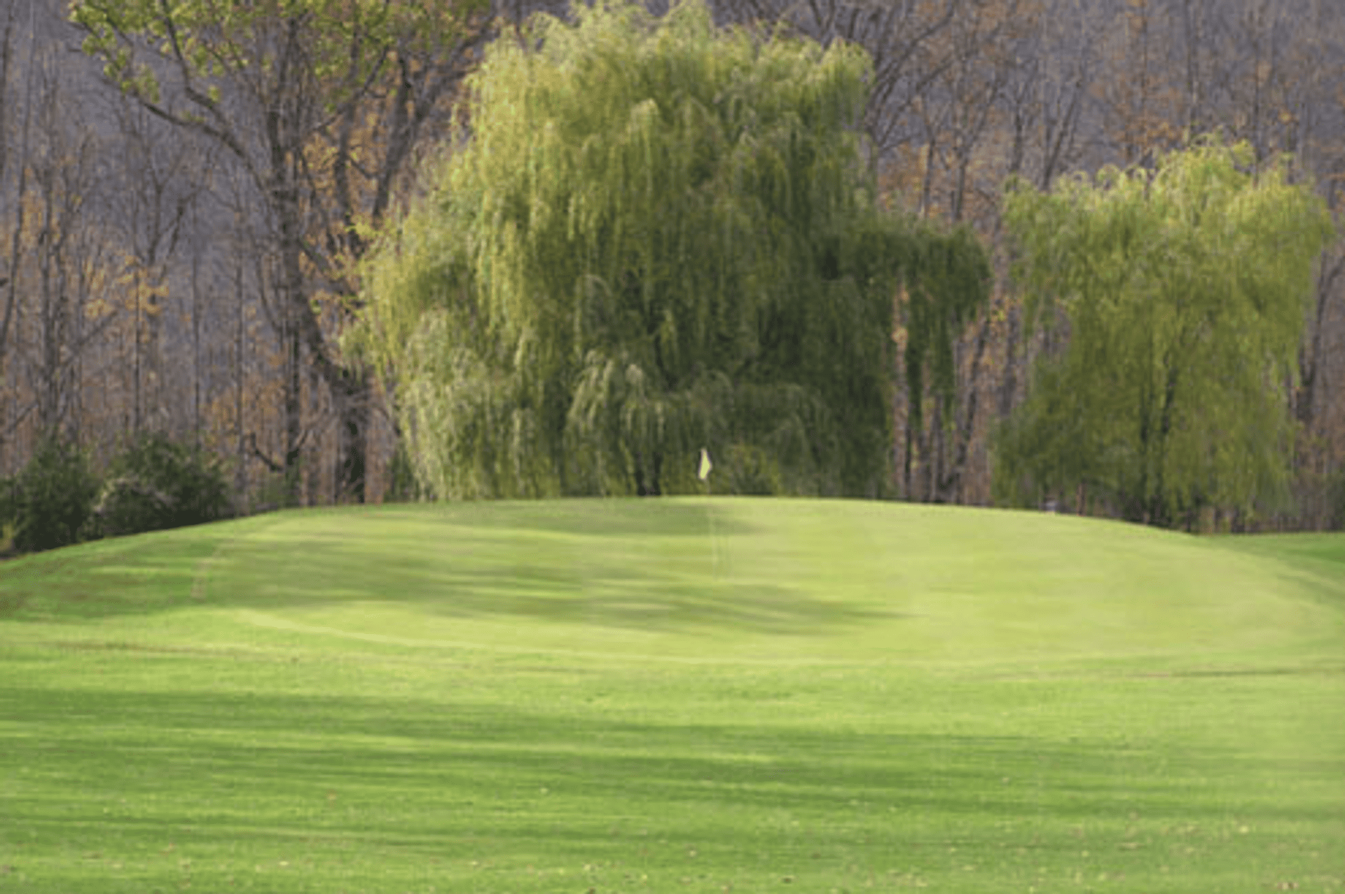 Fillmore Golf Club