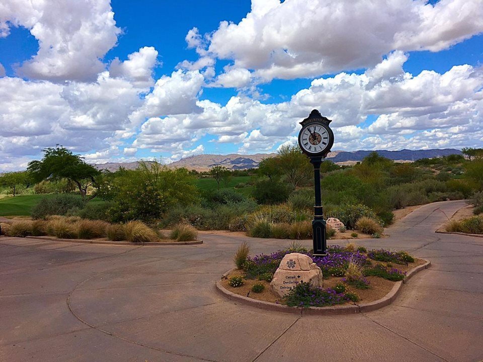 Whirlwind Golf Club (Cattail)