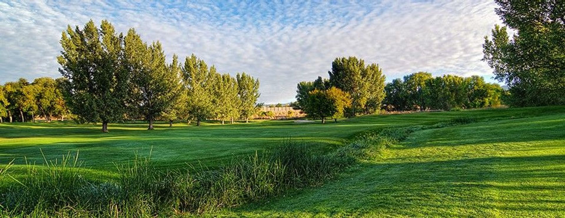 Forest Dale Golf Course