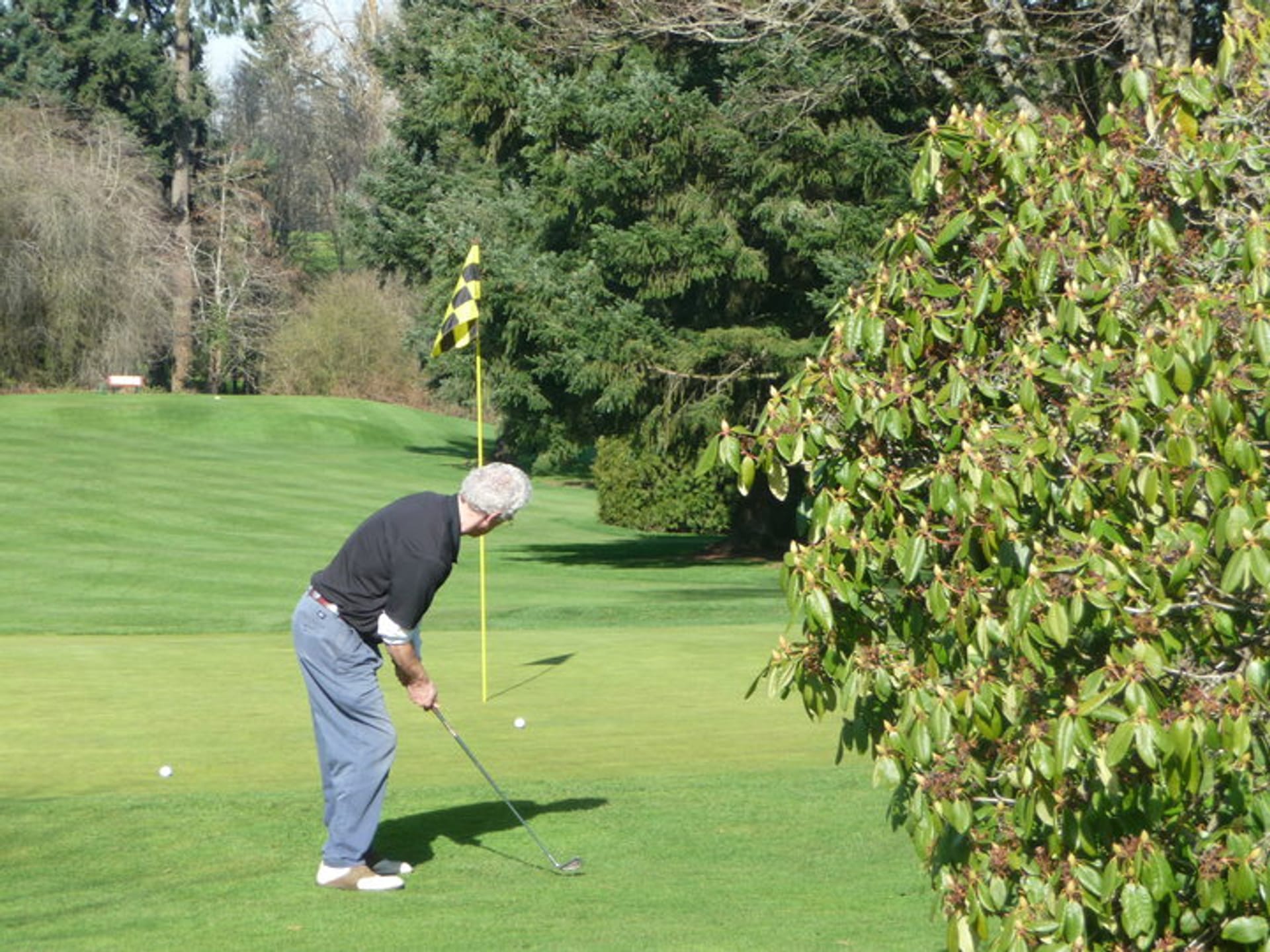 Lake Oswego Municipal Golf Course
