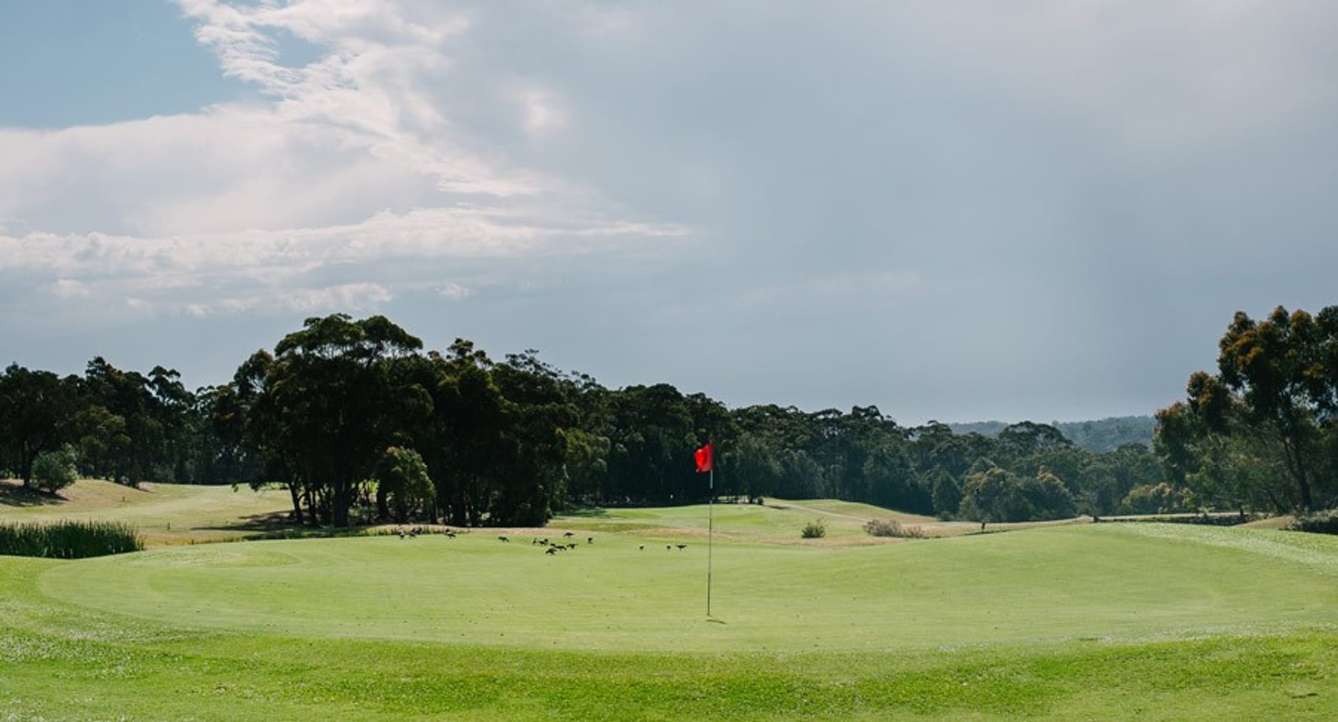 The Springs Golf Course