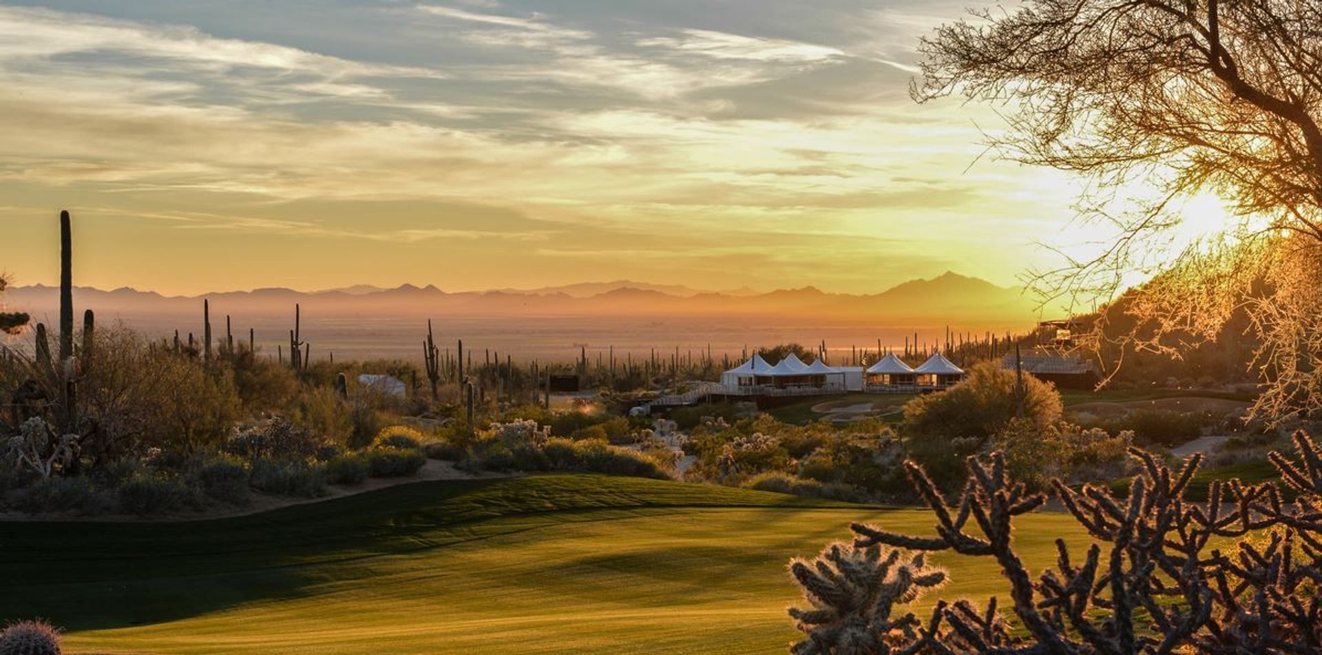 Golf Club at Dove Mountain