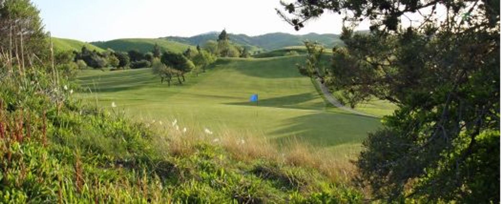Lone Tree Golf & Event Center