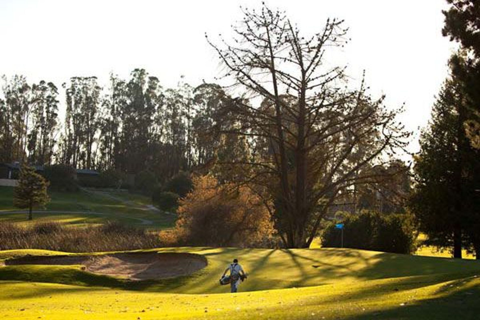 Blacklake Golf Resort