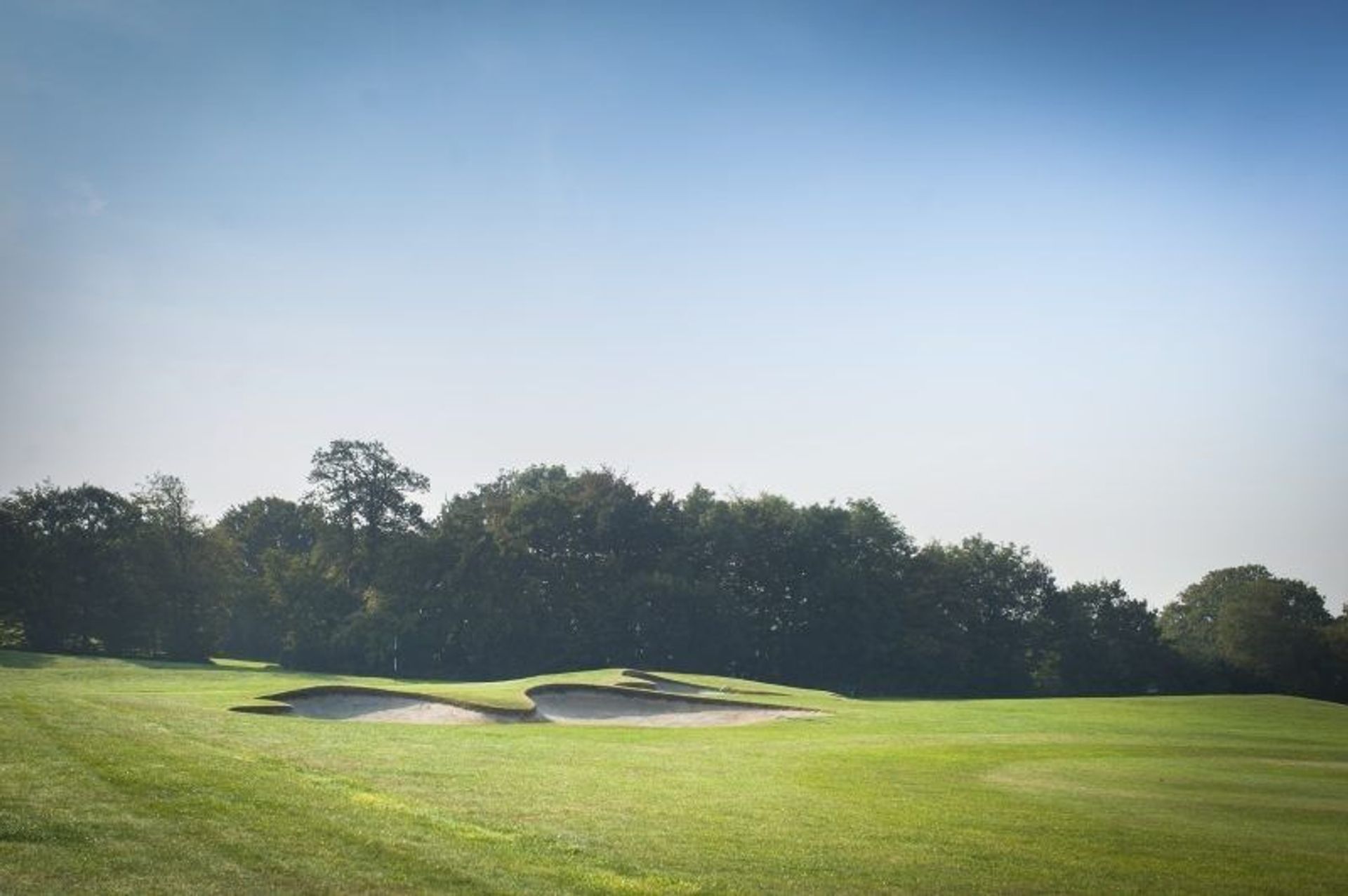 Woodbury Park Hotel & Golf Club (The Acorns)