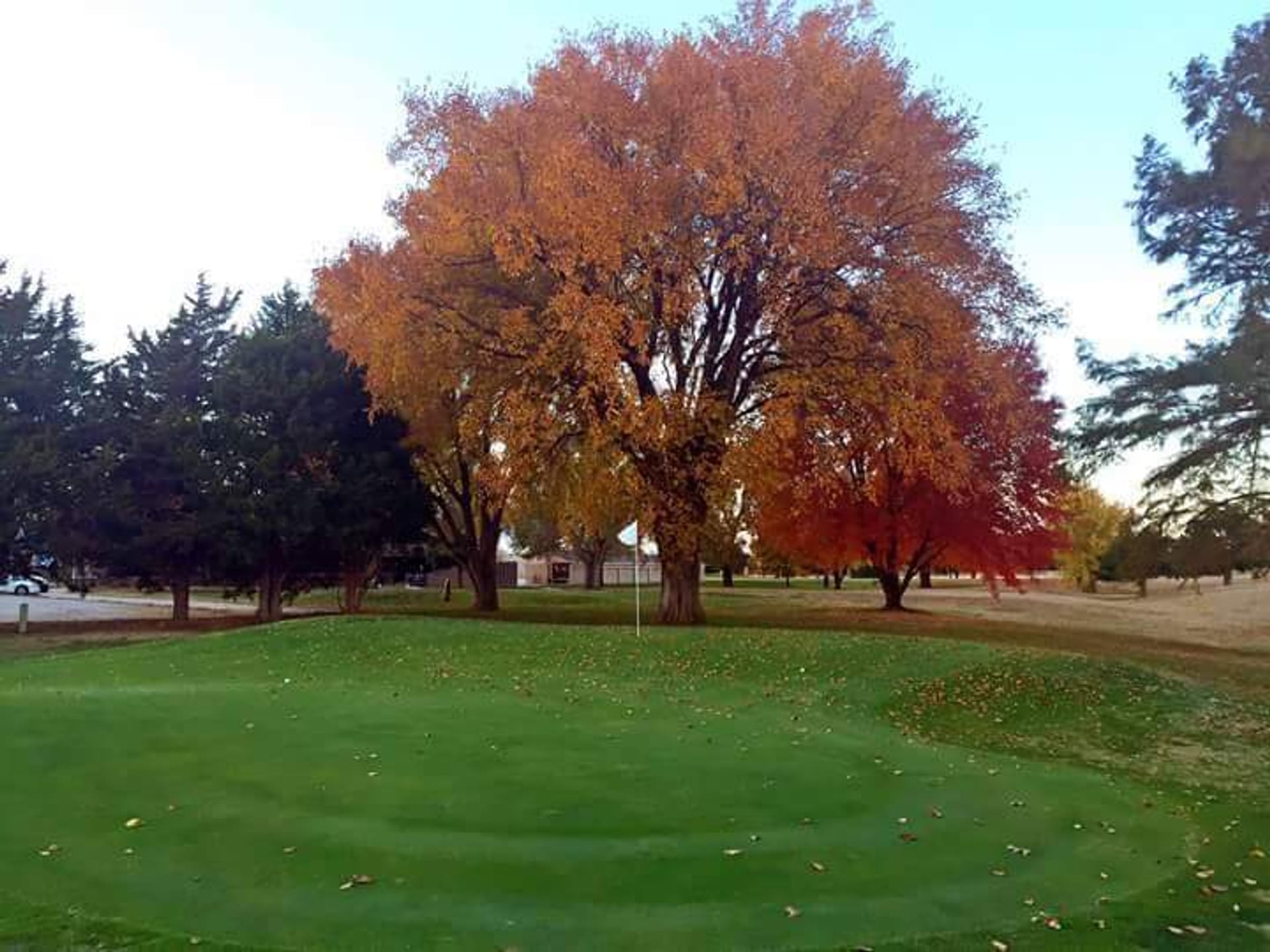 Kingman Country Club - Eagles Pub & Golf Course