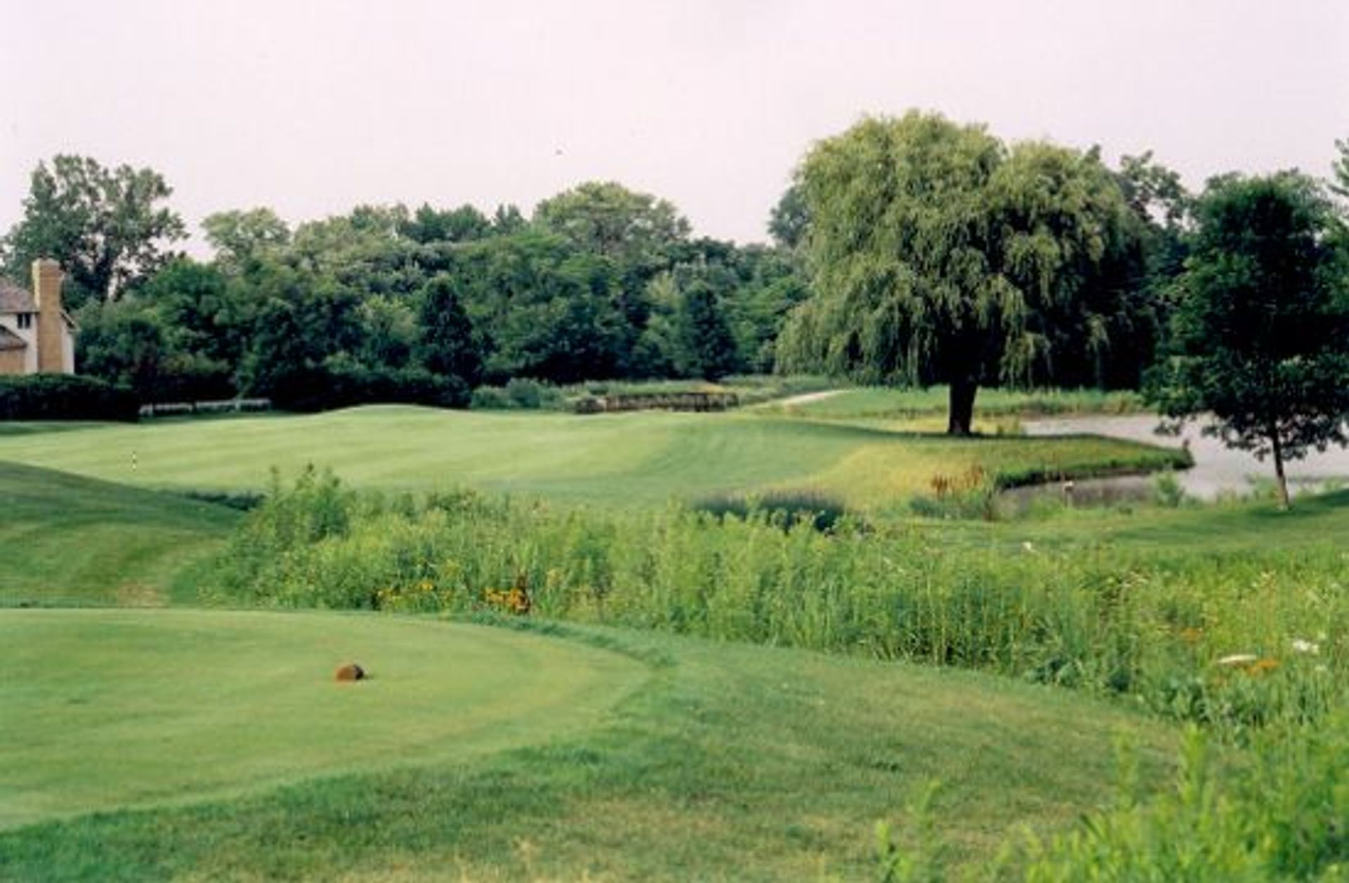 The Arboretum Club