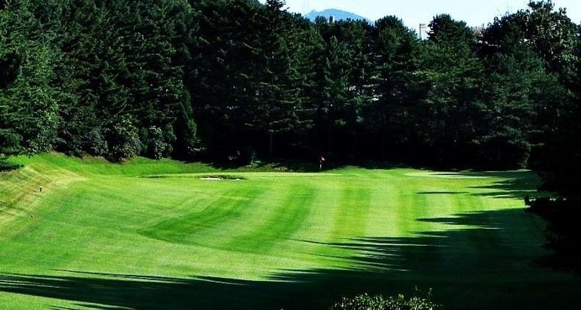 Yangji Pine Resort
