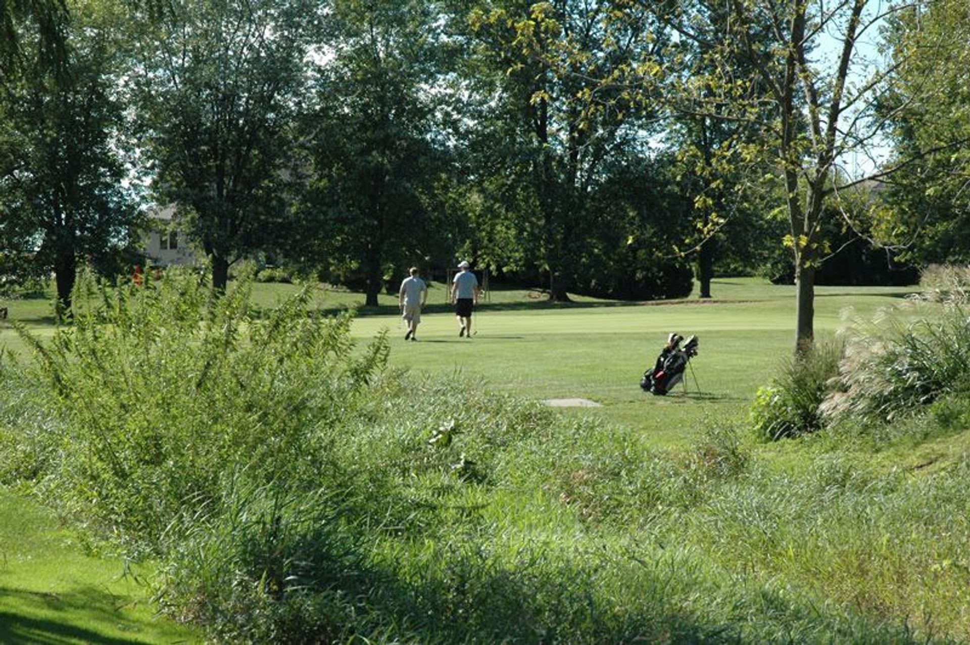 Buena Vista Golf Course