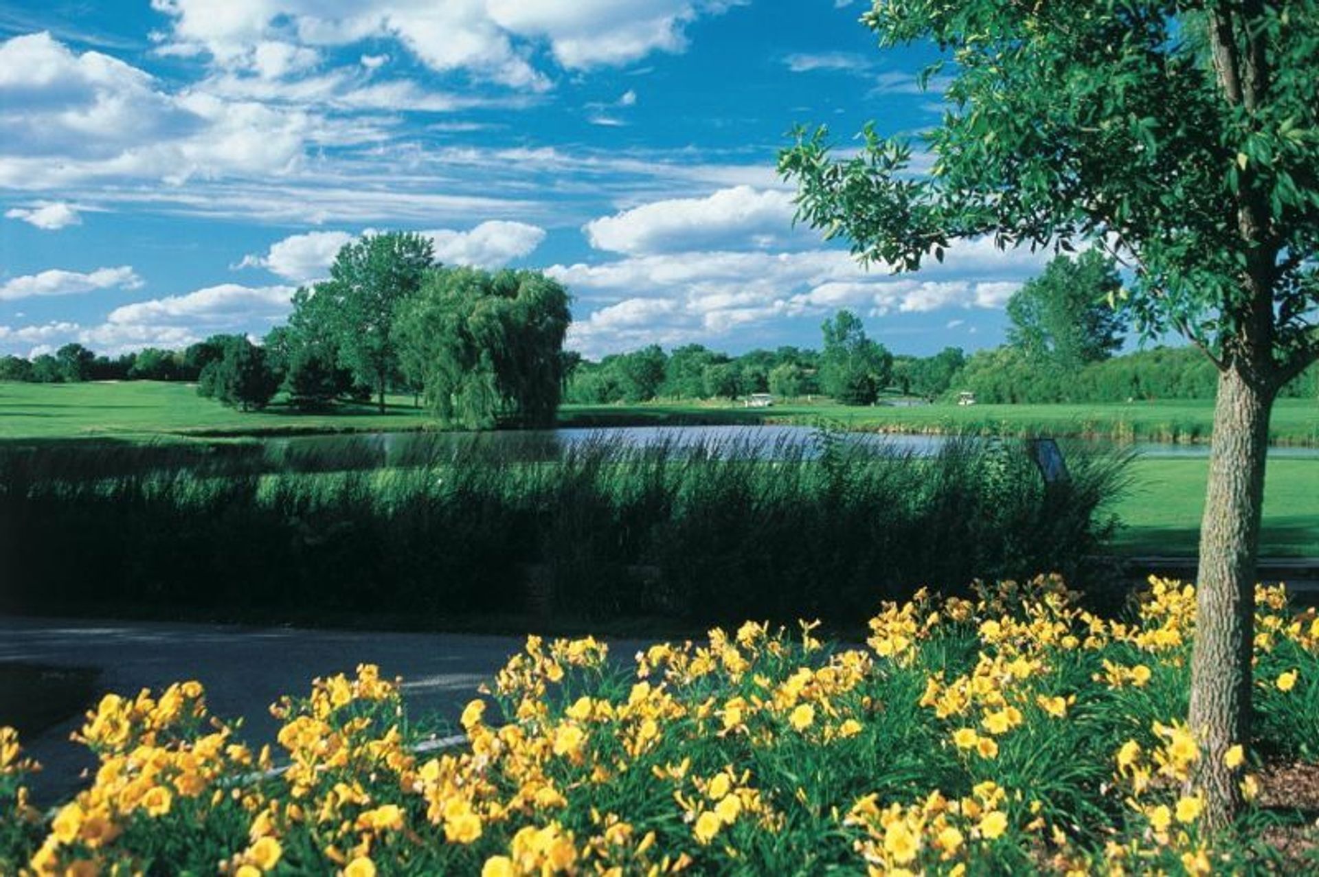 Hilldale Golf Club