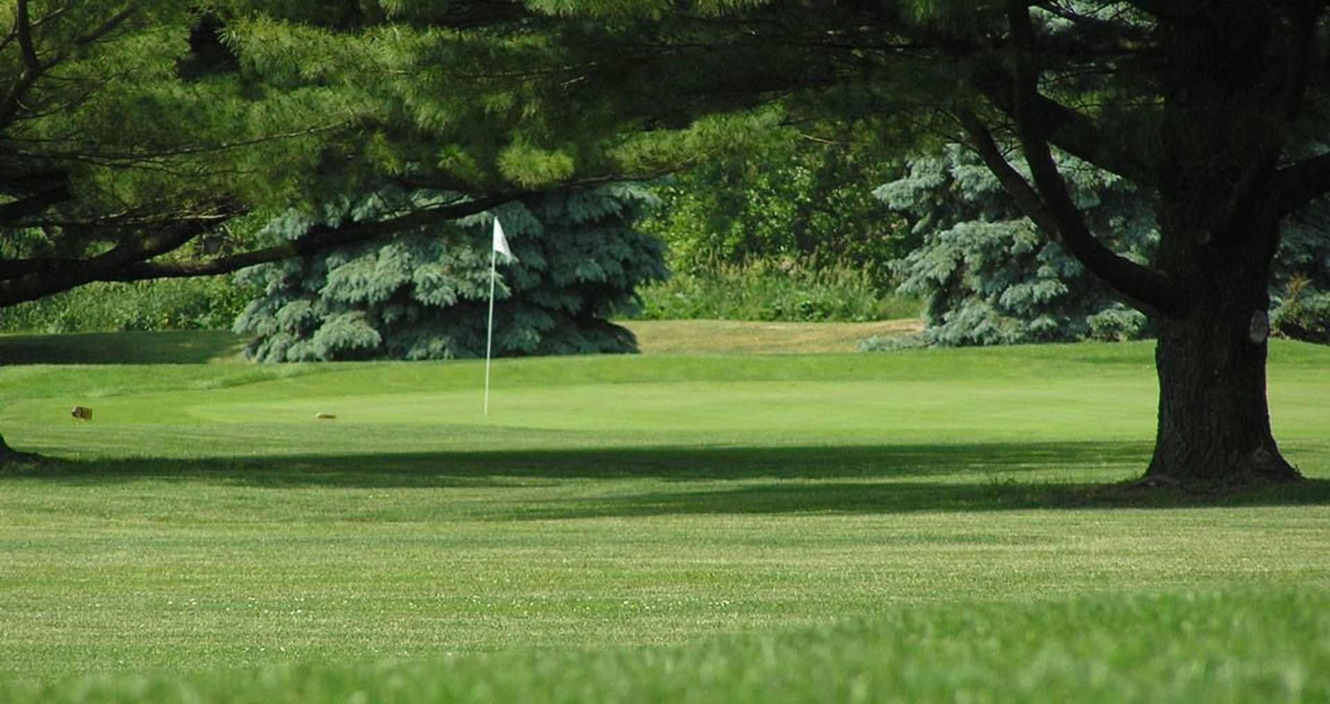 Sycamore Golf Club