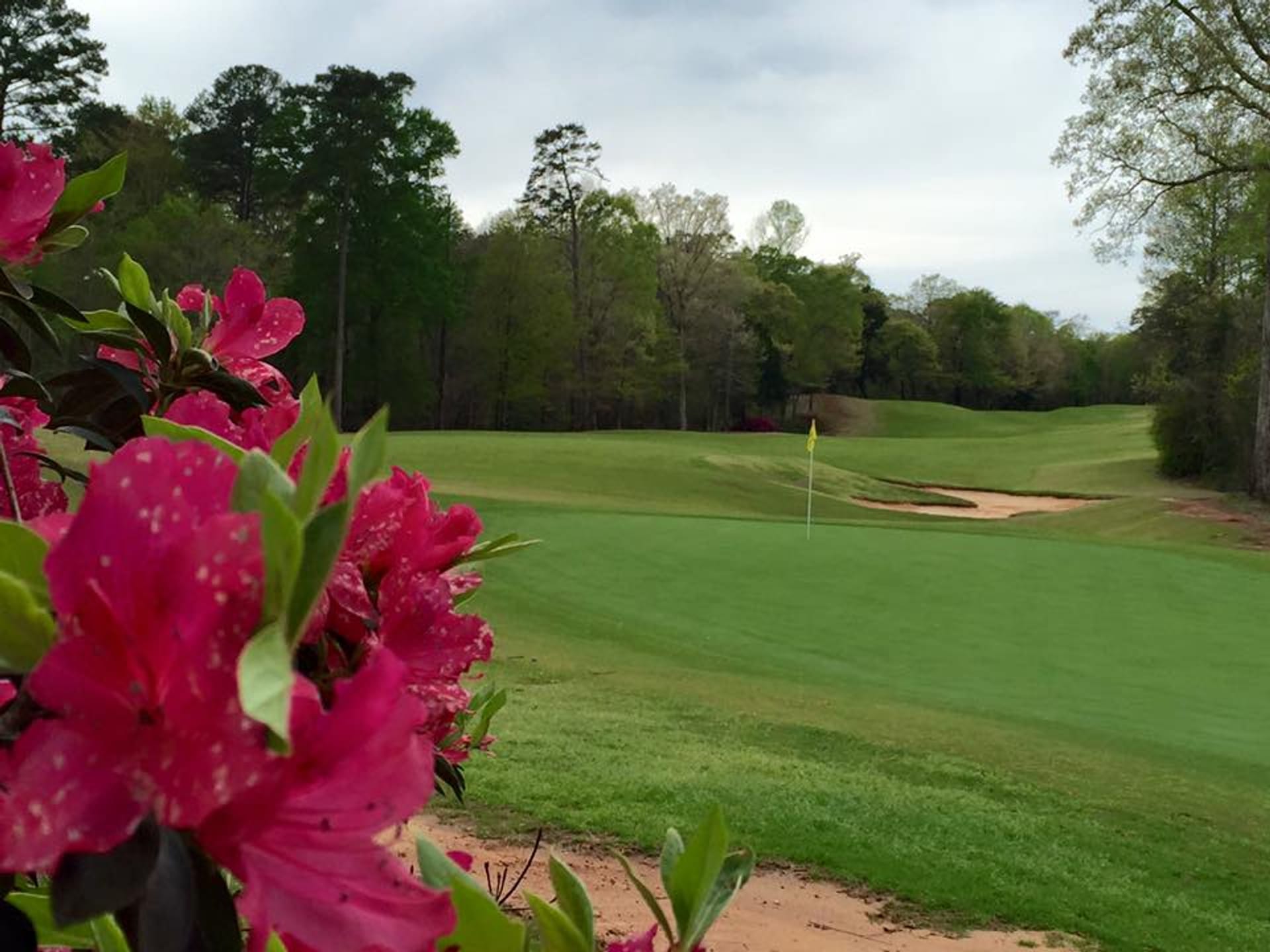 Dancing Rabbit Golf Club (The Oaks)