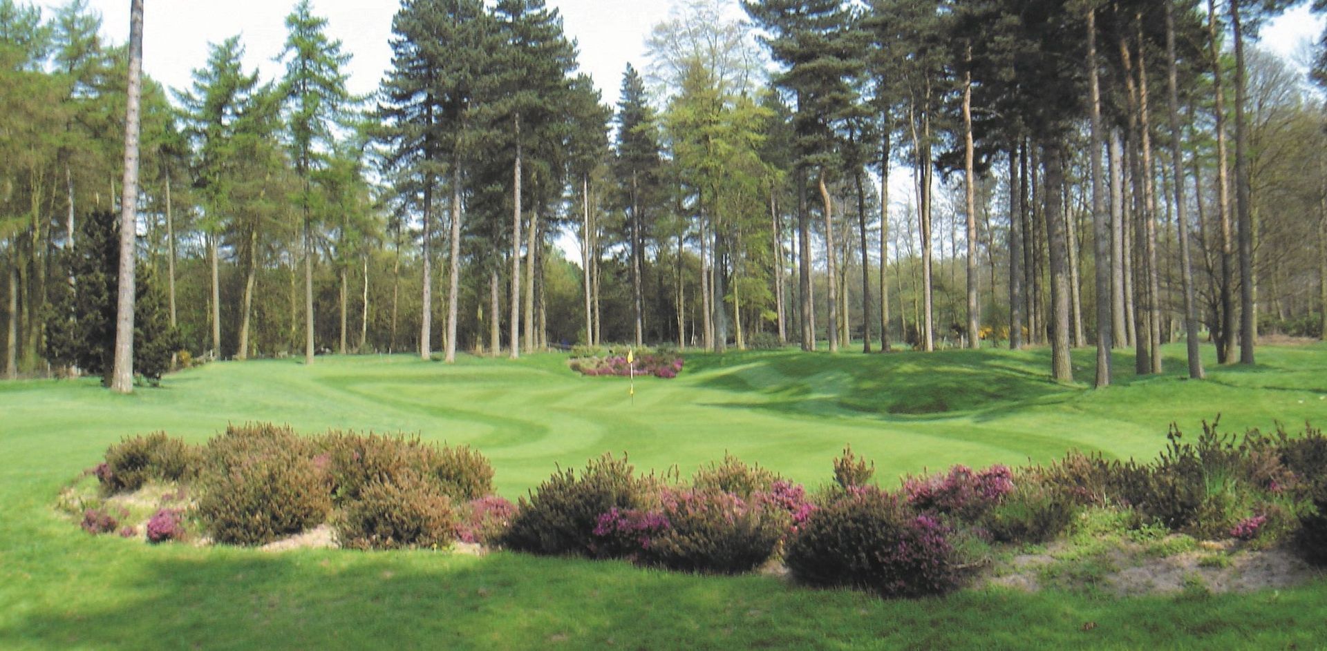 DoubleTree by Hilton Forest Pines Spa & Golf Resort