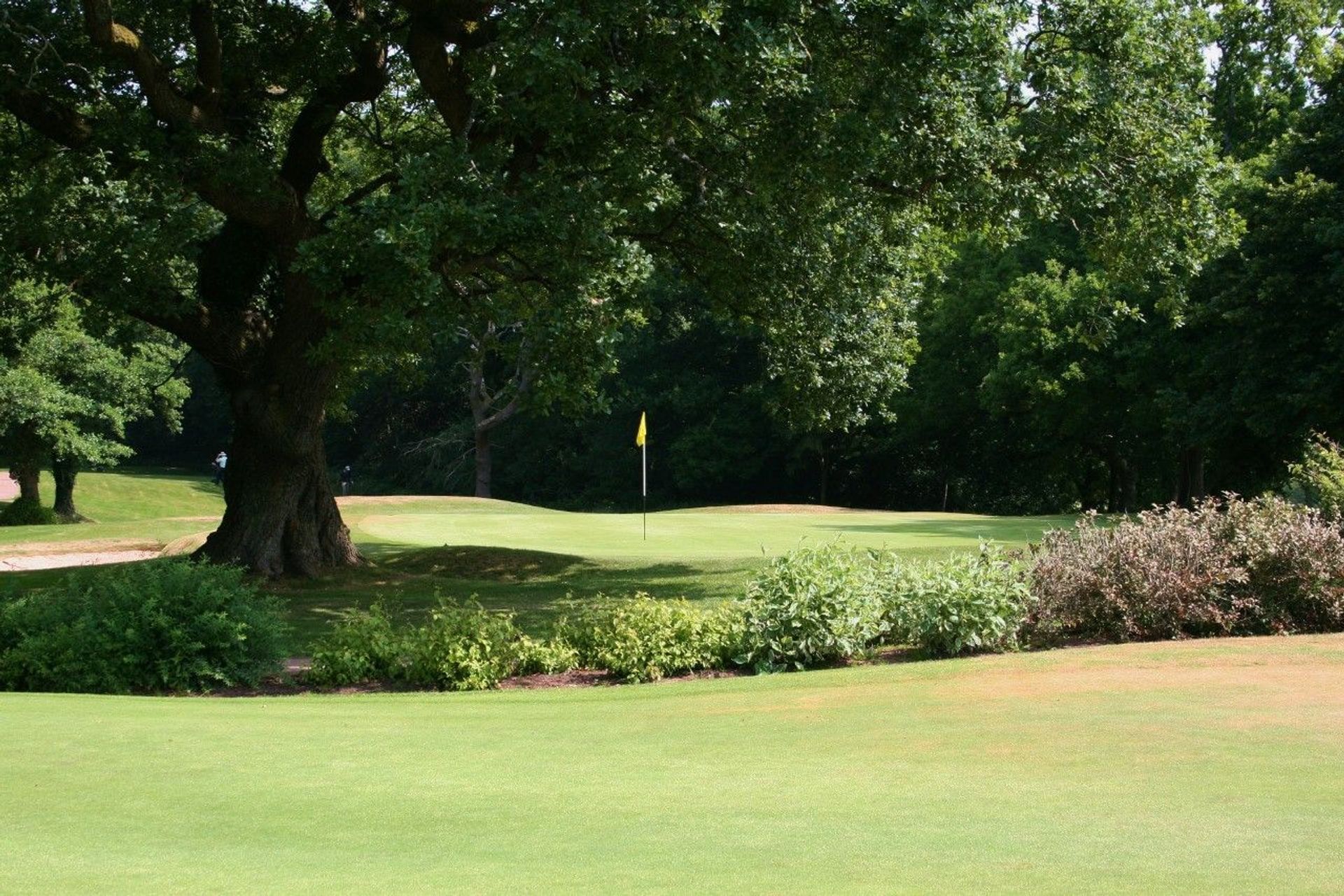 Cardiff Golf Club