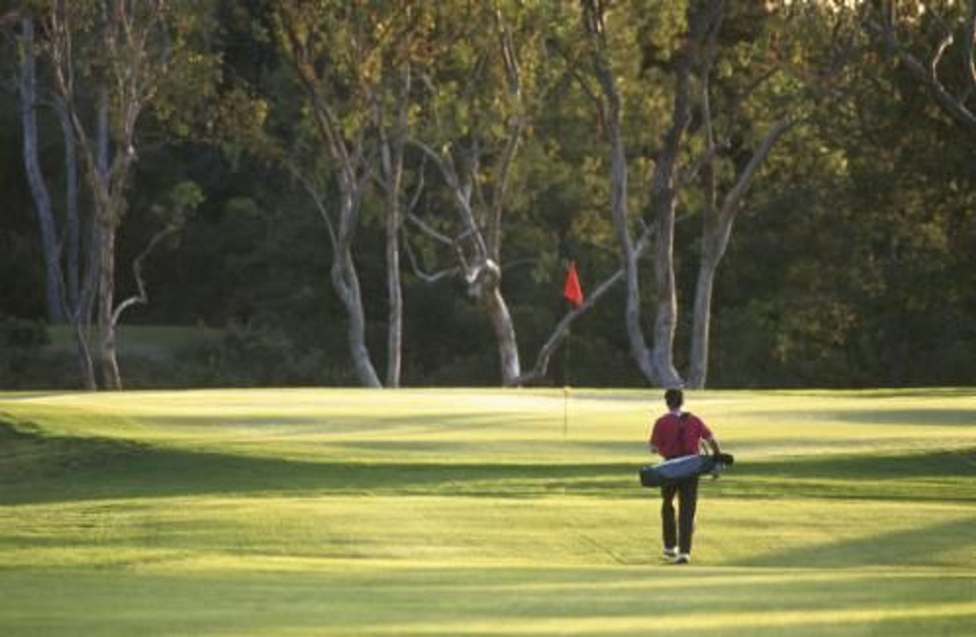 West Side Golf Club