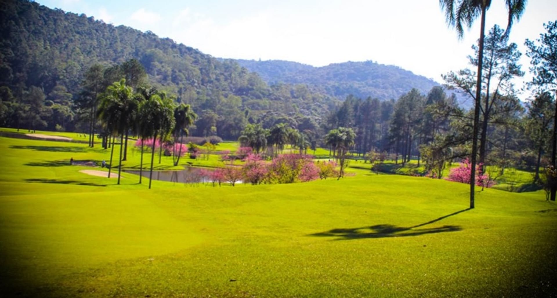 PL Golf Clube