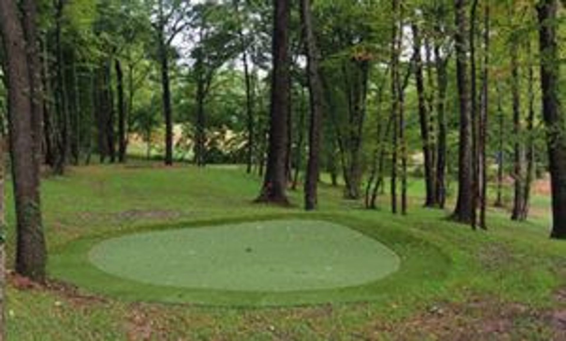Golf Lyon Tassin