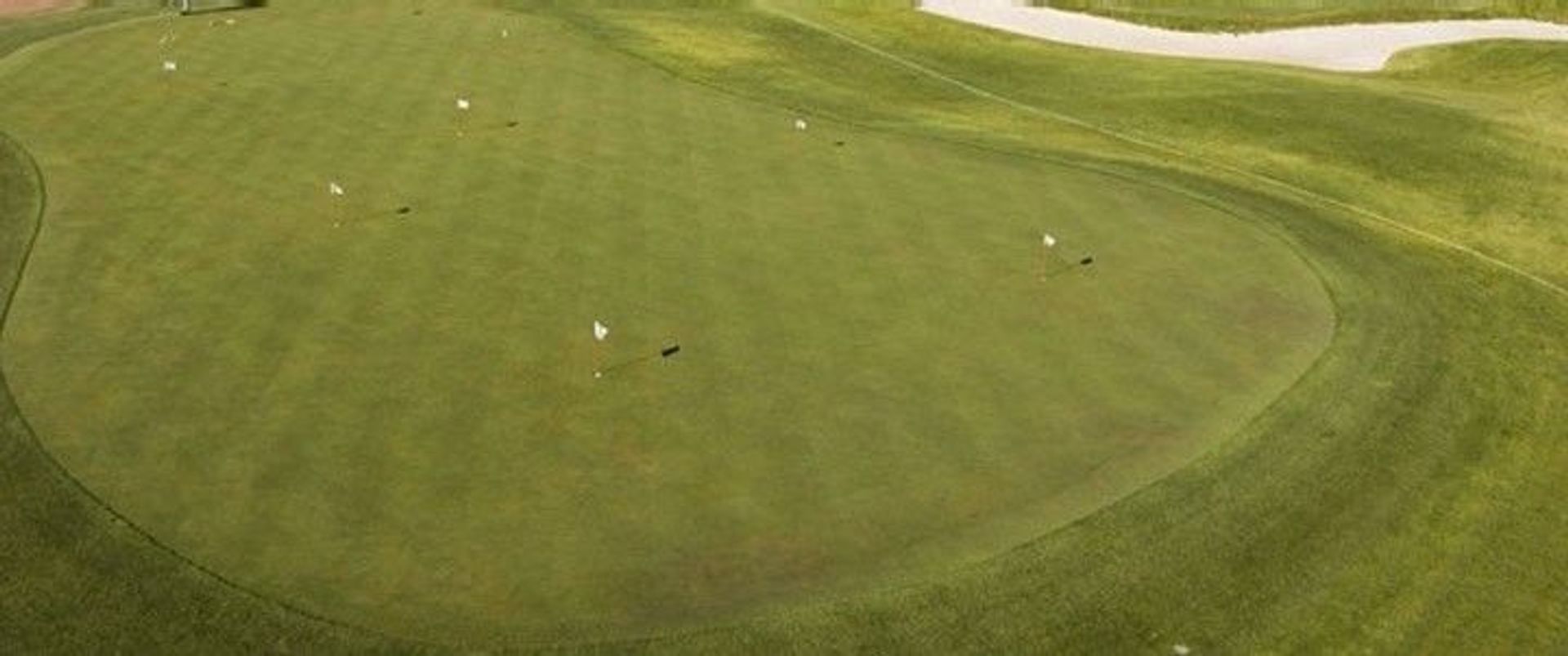 Abedul Golf