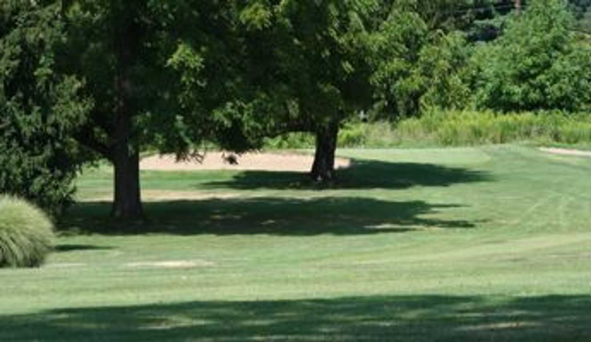 The Abington Club