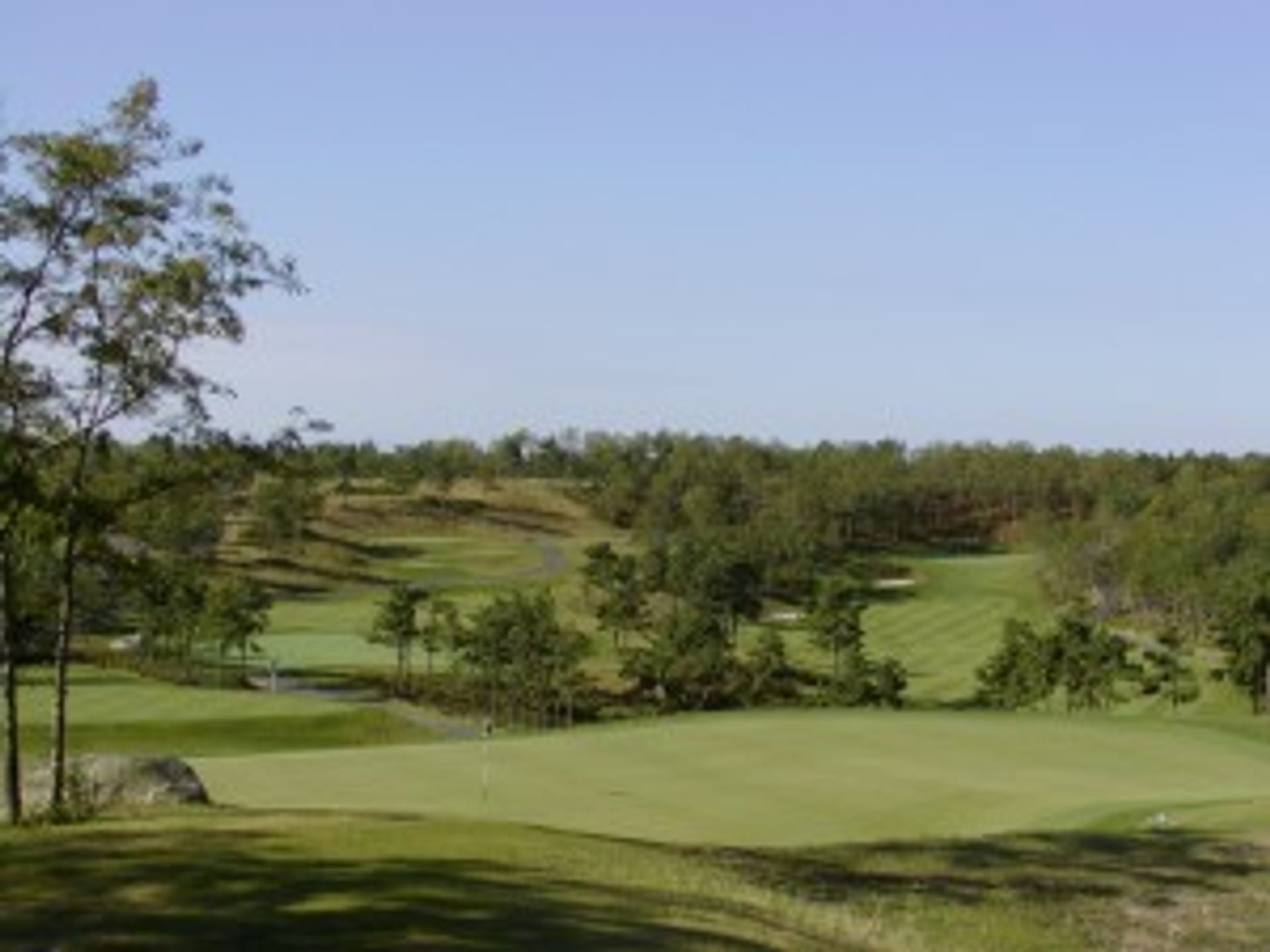 Waverly Oaks Golf Club (Championship)