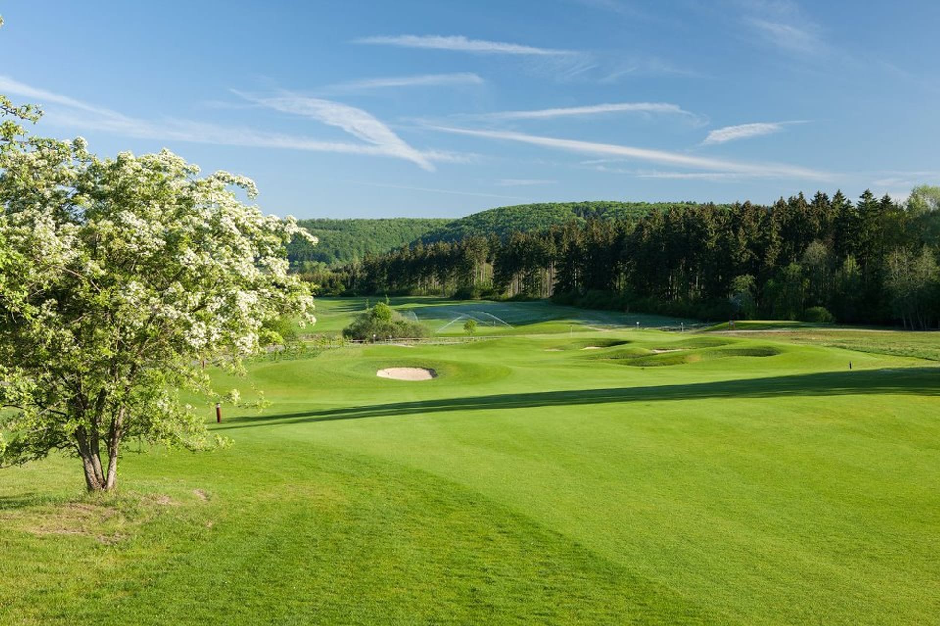 Golf Resort Weimarer Land (Goethe)