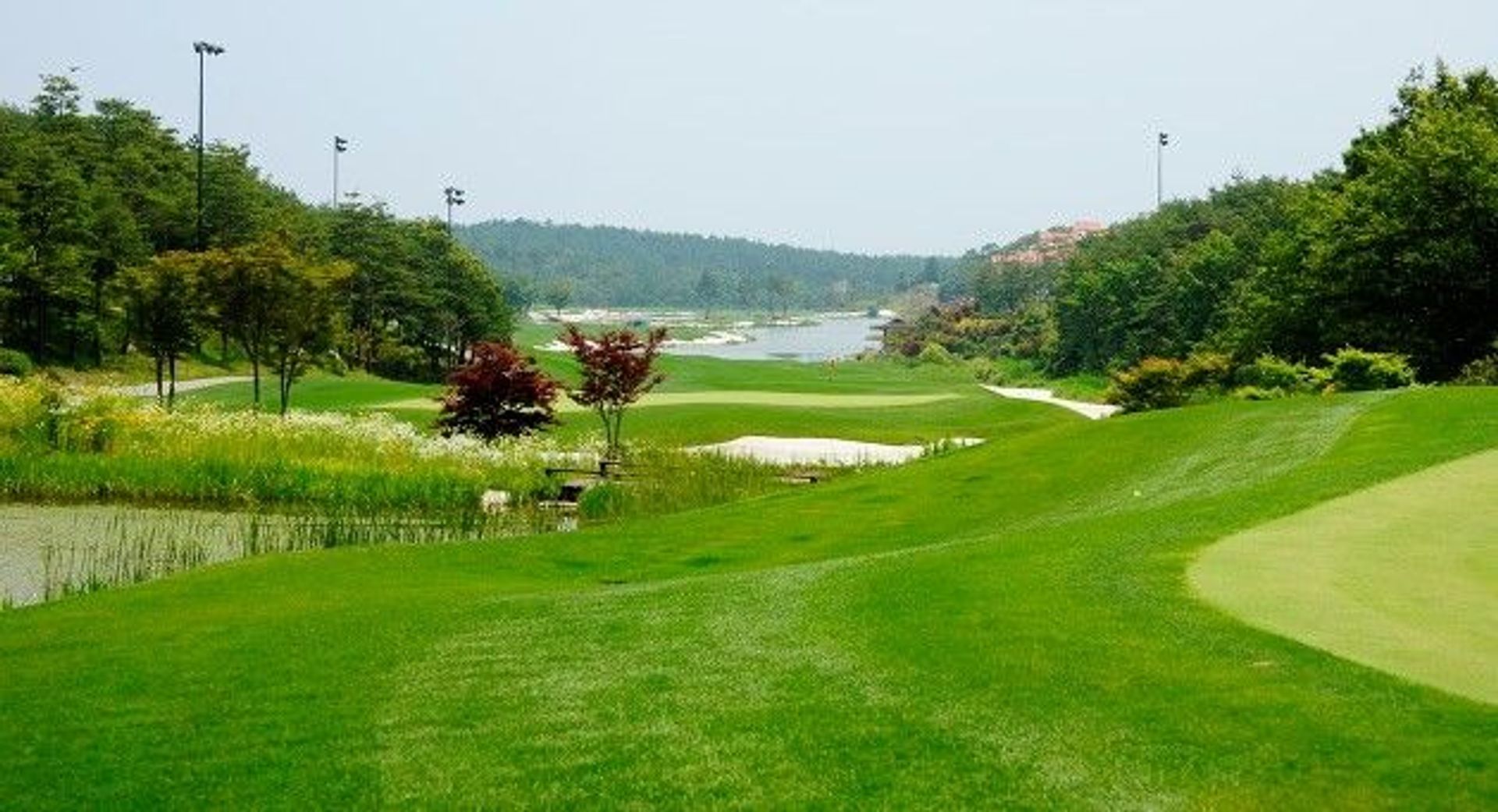 Pine Ridge Resort