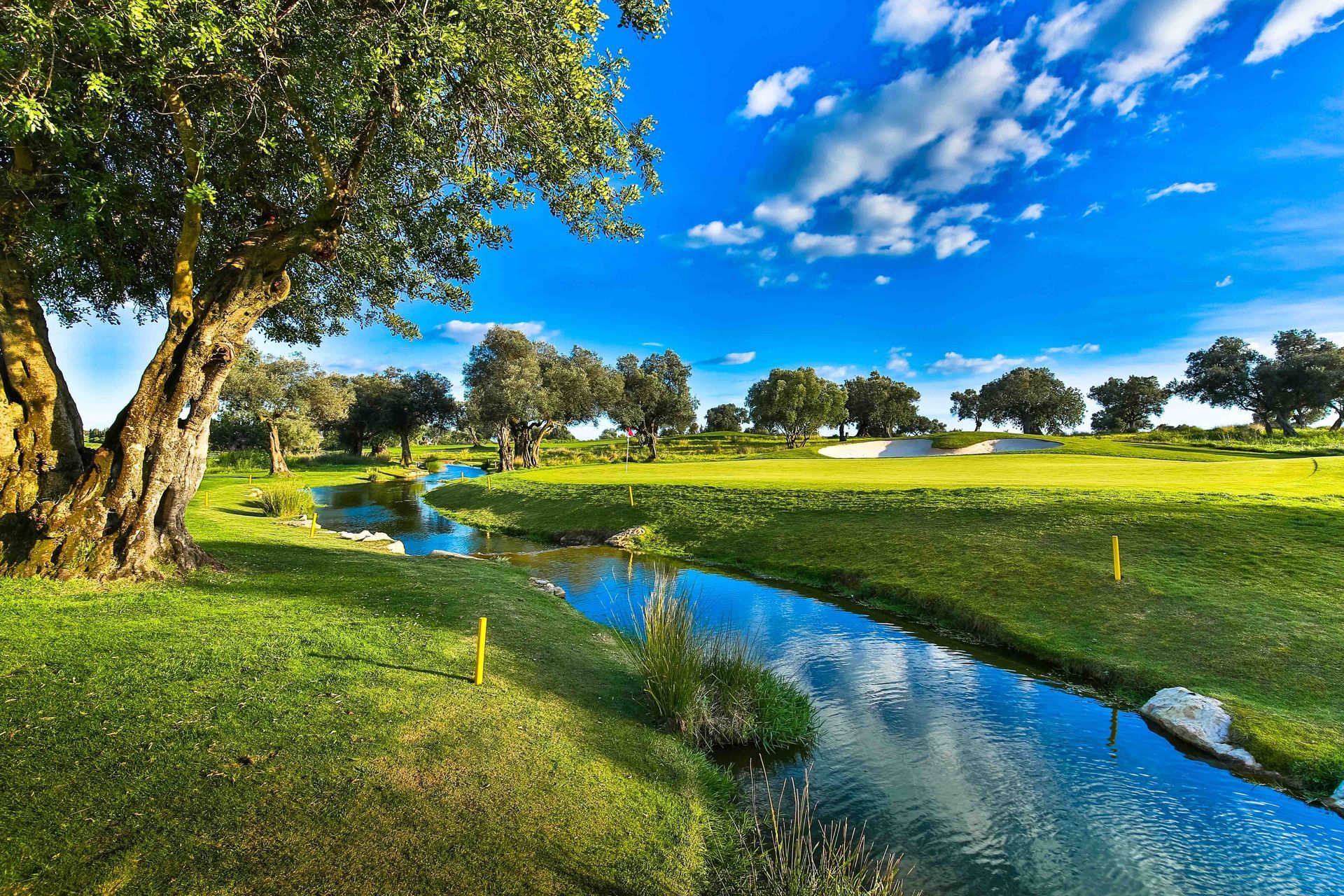 Quinta de Cima