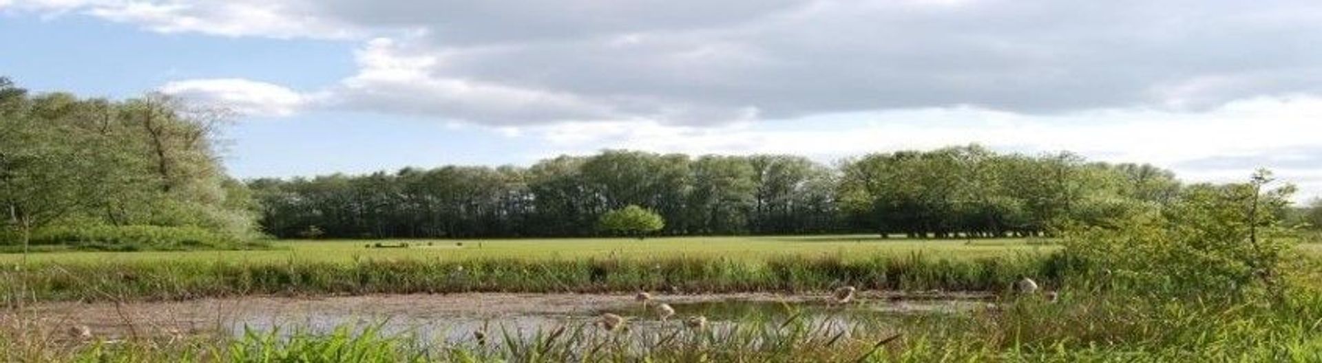 Mollerup Golf Club