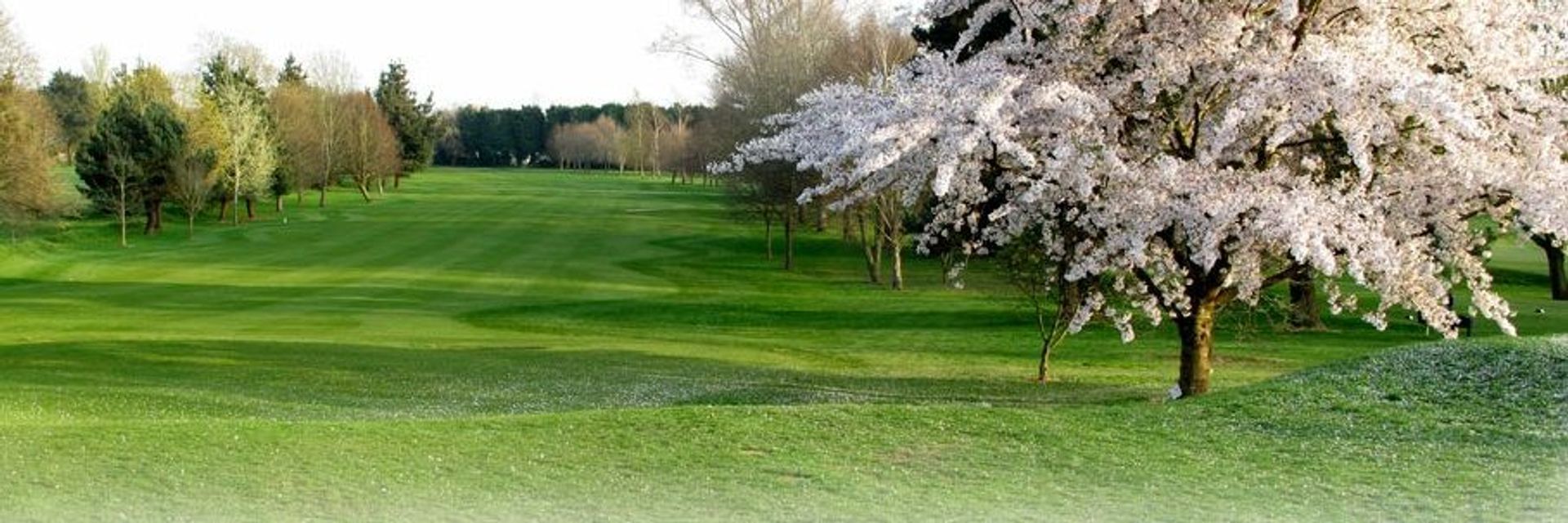 Whitchurch Golf Club