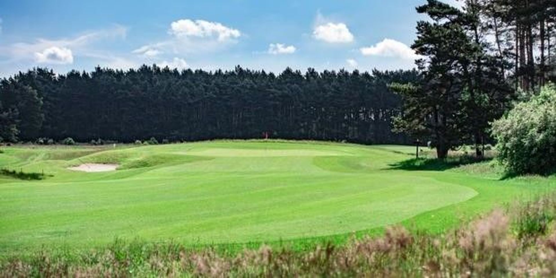 Burgdorfer Golfclub (Meisterschaftsplatz)