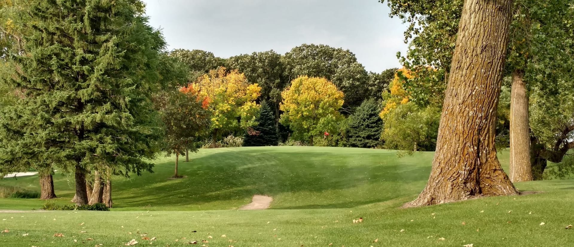 Oak View Golf Club - Alden