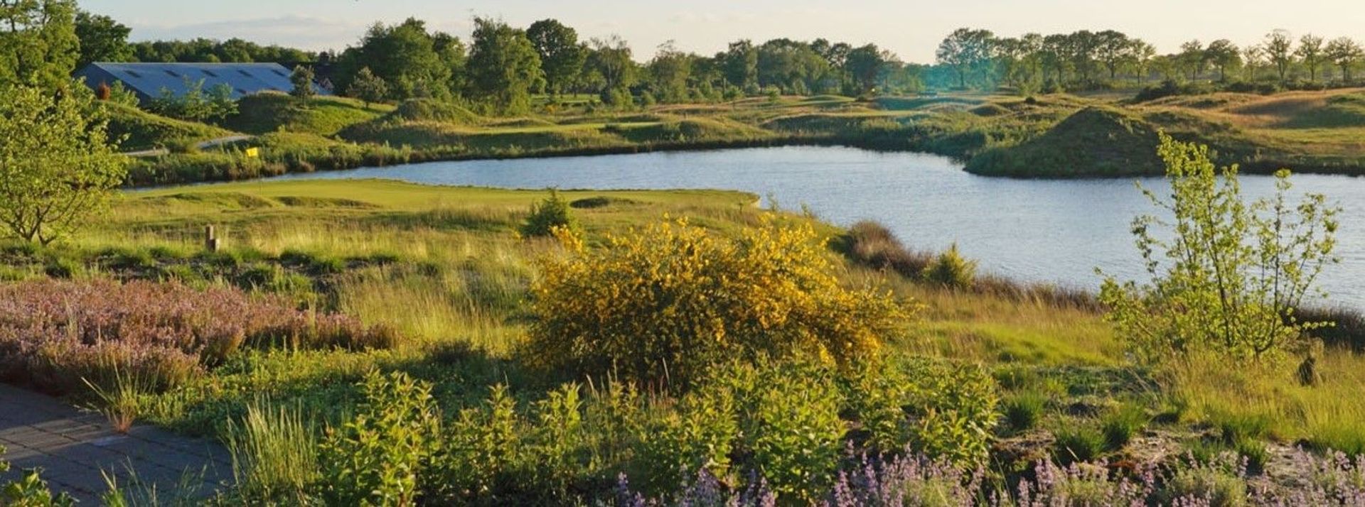 Golfbaan Stippelberg (Executive)