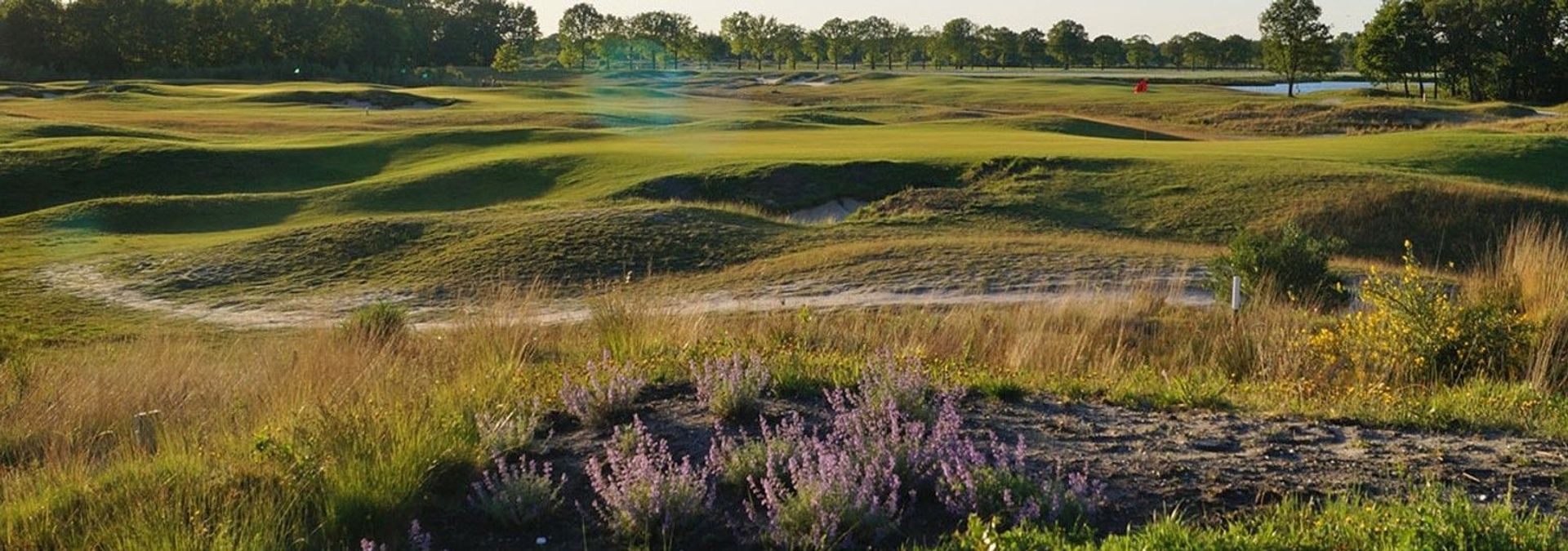 Golfbaan Stippelberg (Championship)