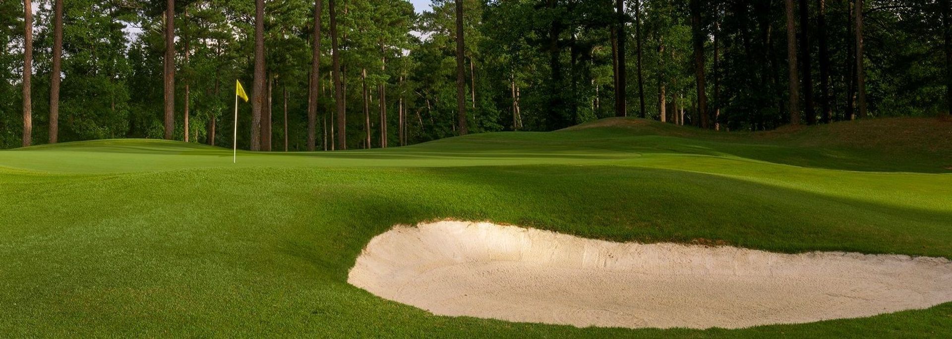 Legacy Golf Links