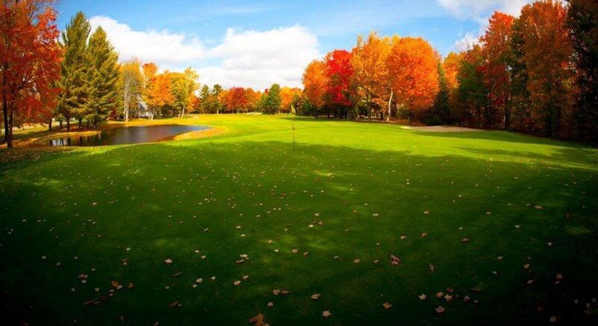 The Loon Golf Resort (The Lakes)