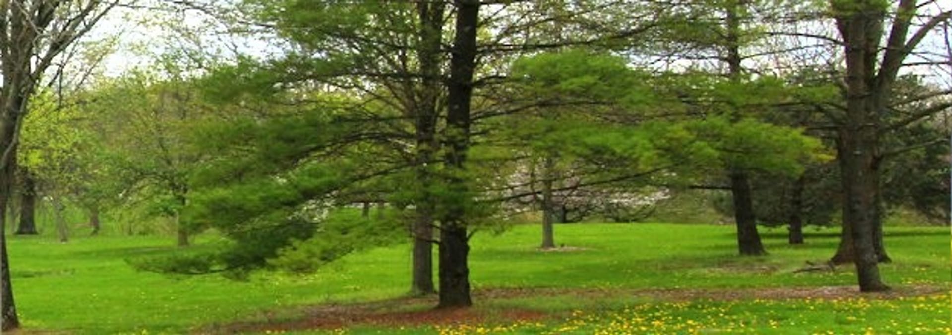 Green Hills Golf Course