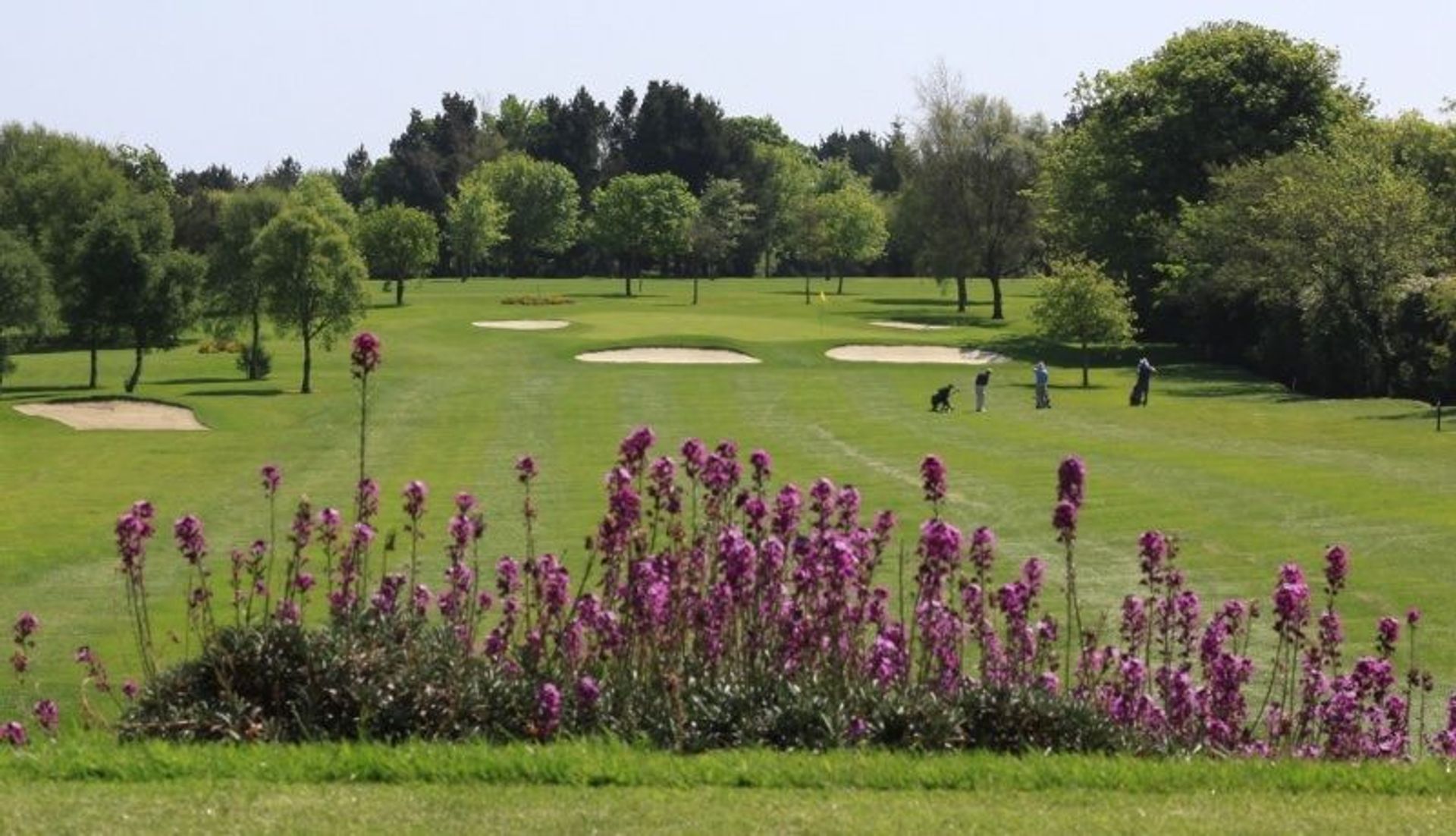 Skerries Golf Club
