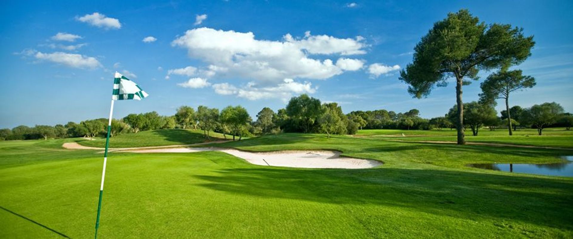 Dixie Golf
