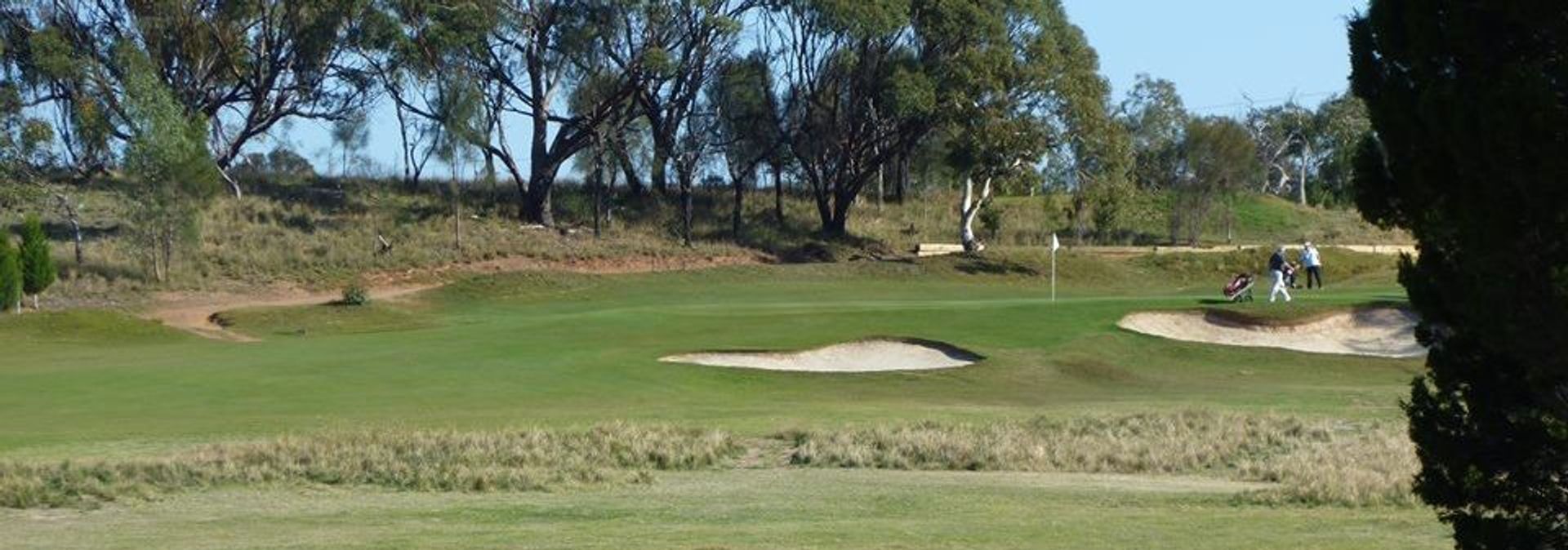 Tanunda Pines Golf Club