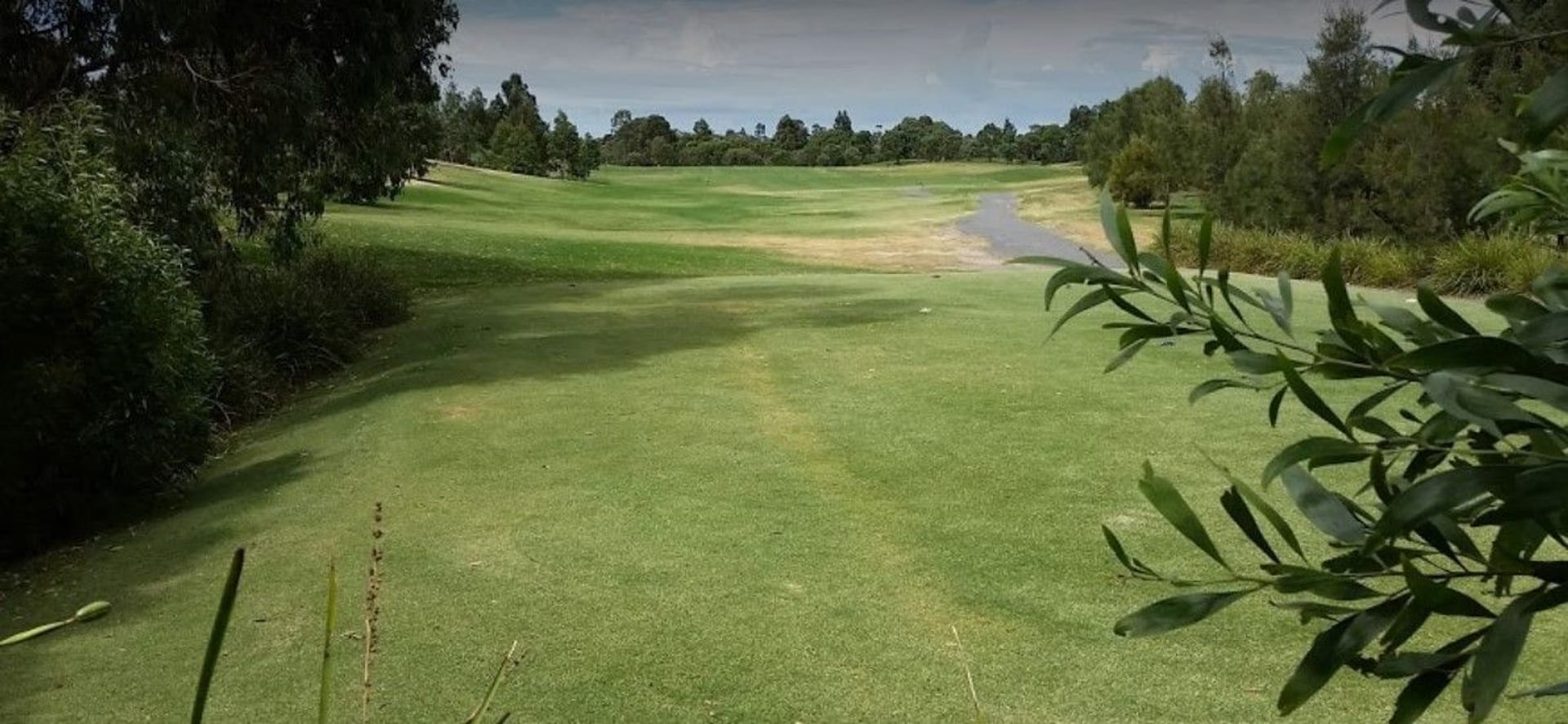 Dorset Golf Club